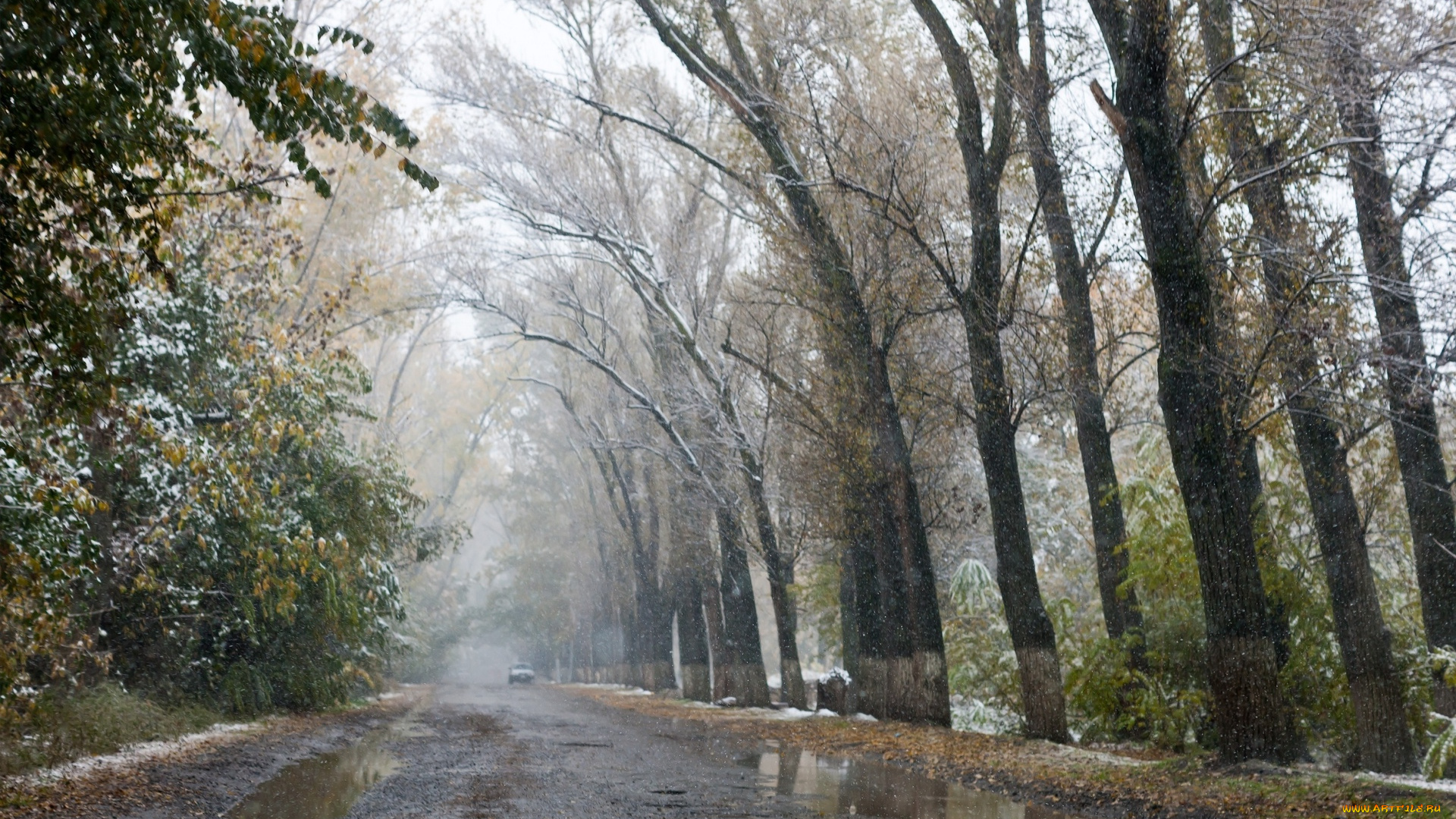 природа, дороги, осень, слякоть, дорога, деревья, снег
