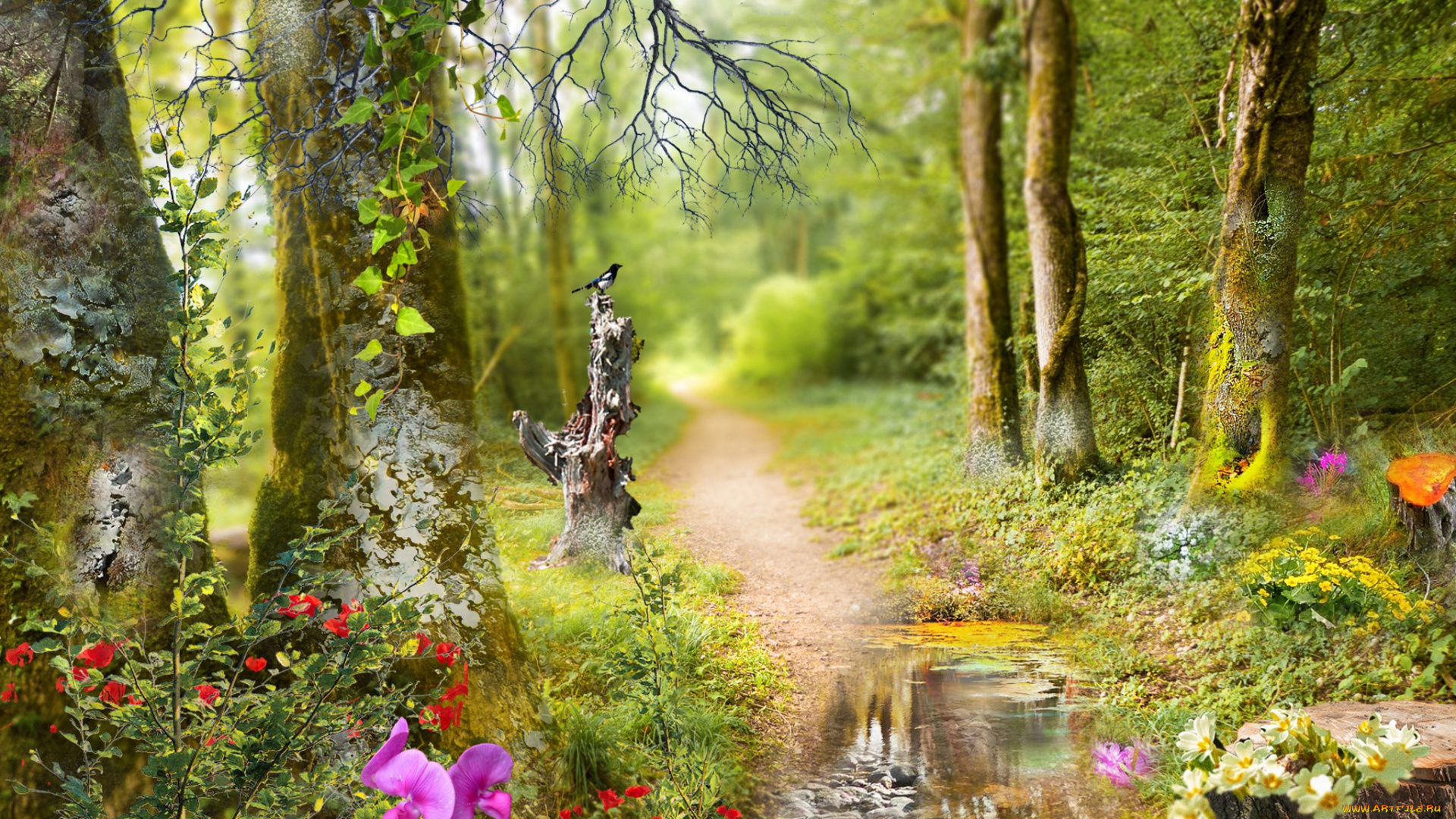 природа, лес, простор