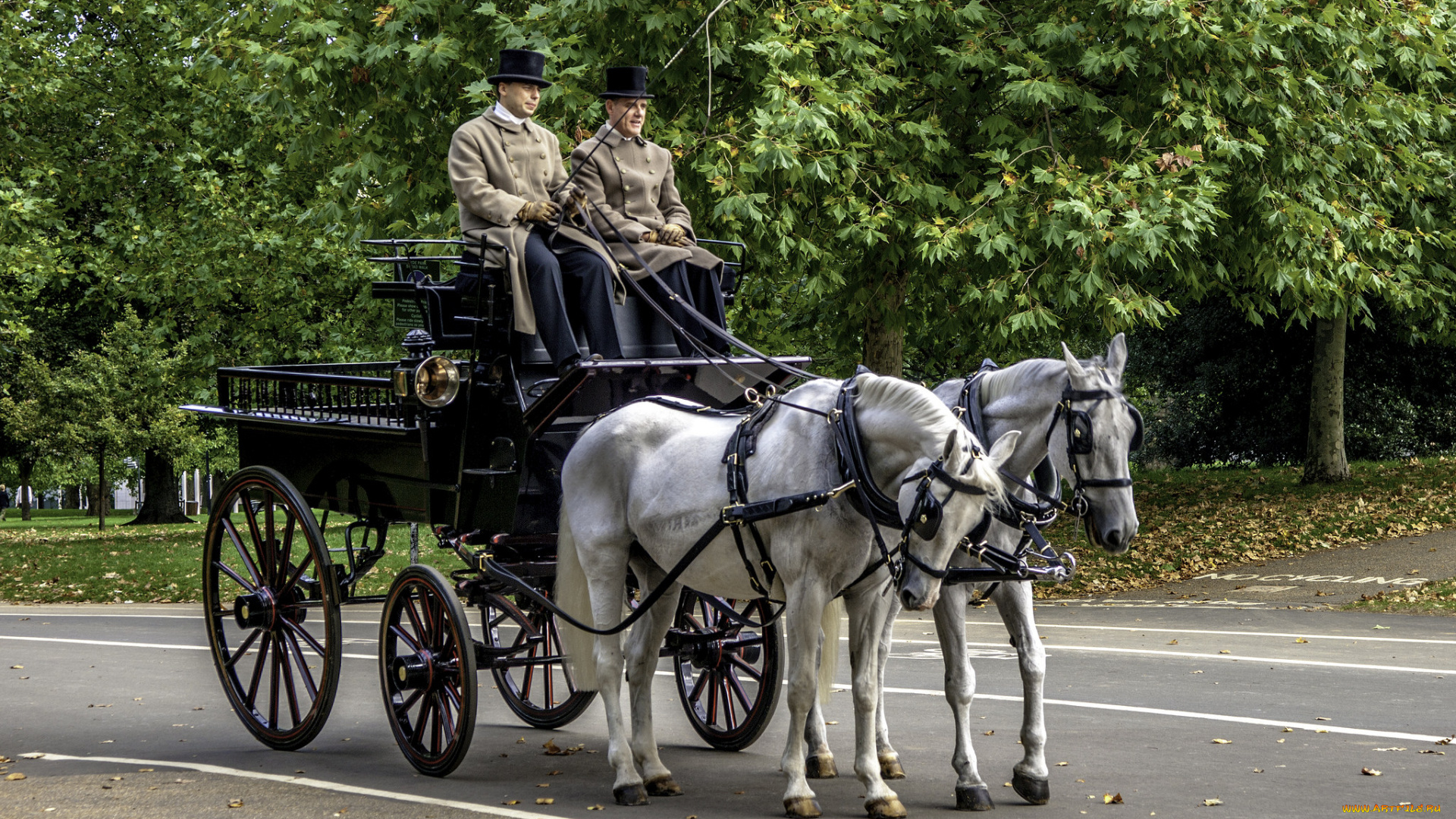разное, транспортные, средства, и, магистрали, экипаж