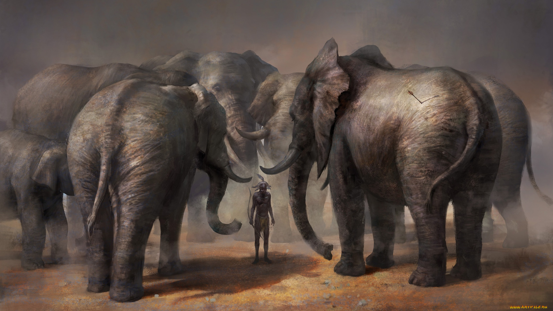 рисованное, животные, , слоны, суд, who, did, стрела, абориген, охотник, слоны