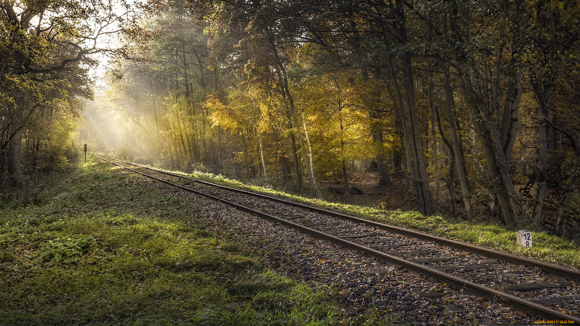 разное, транспортные, средства, и, магистрали, свет, лес, железная, дорога