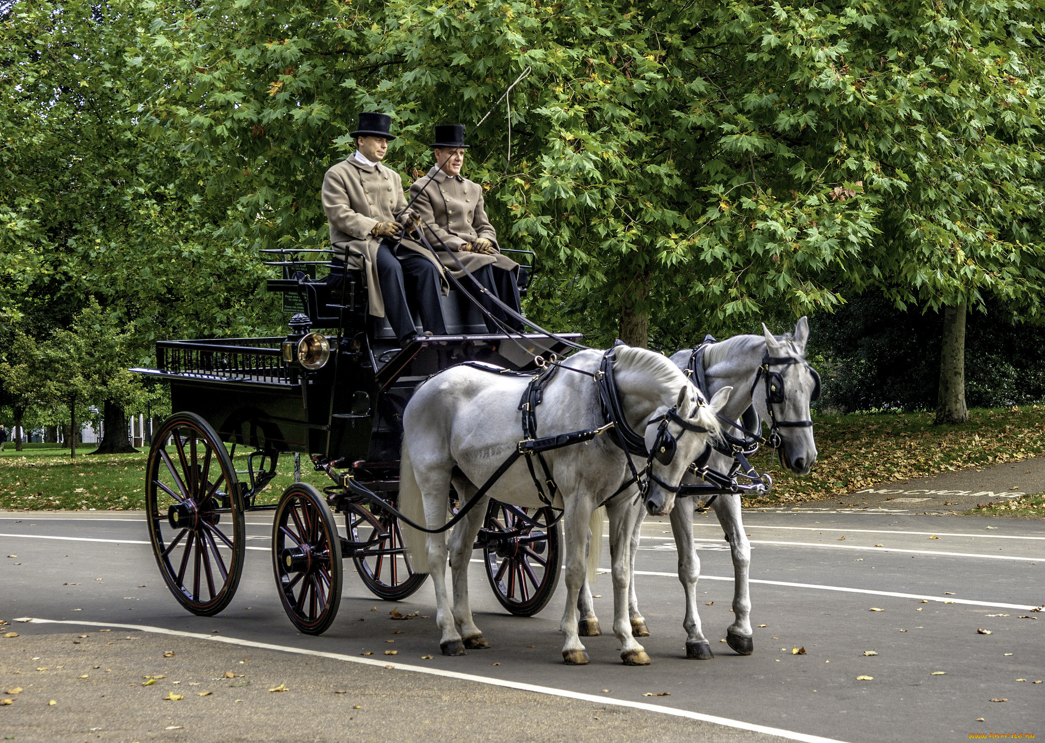 разное, транспортные, средства, и, магистрали, экипаж