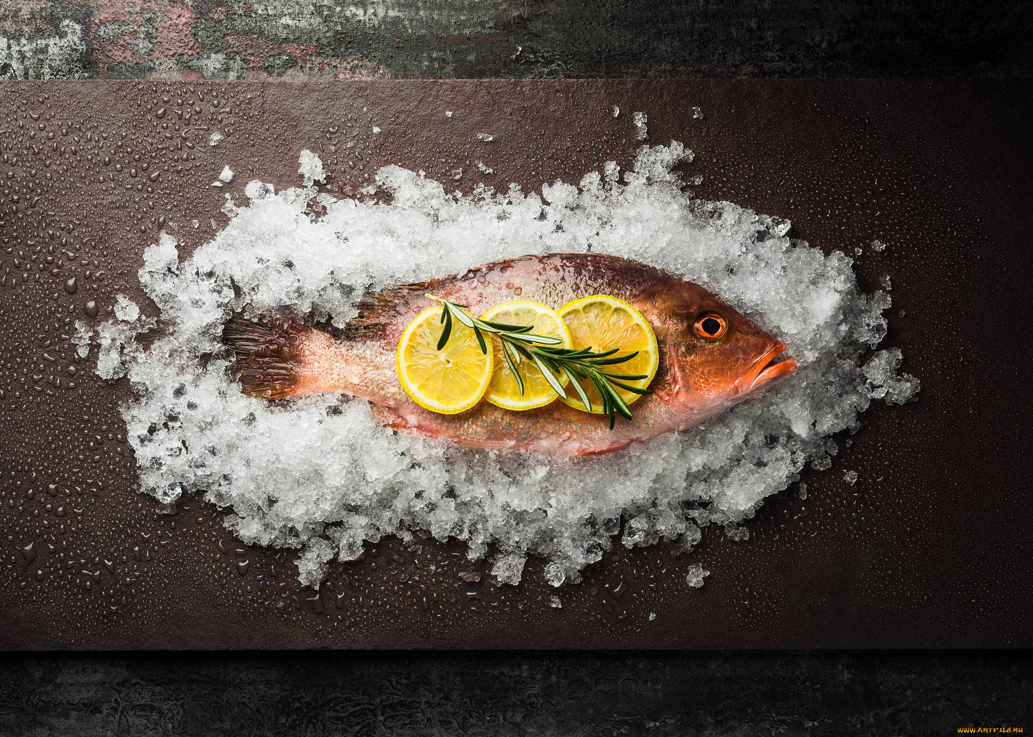 еда, рыба, , морепродукты, , суши, , роллы, снедь