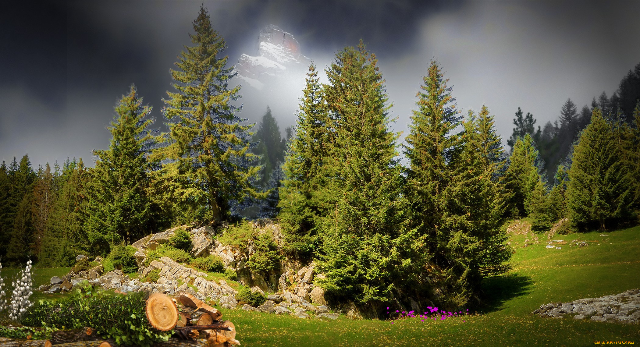 природа, лес, простор