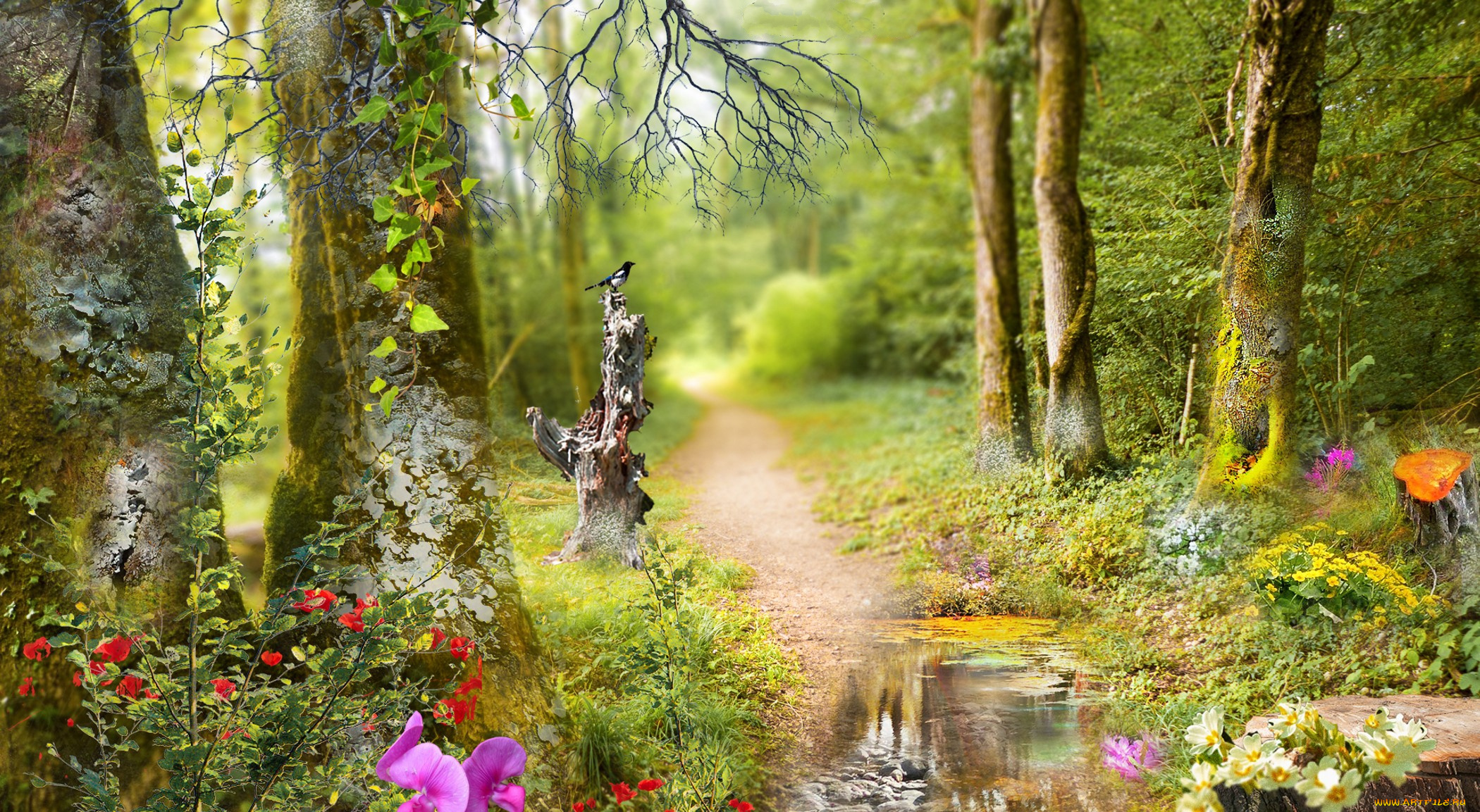 природа, лес, простор