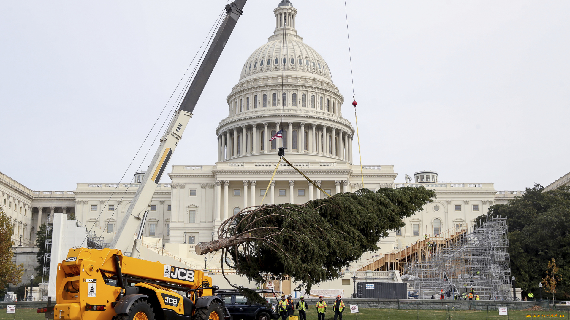 техника, автопогрузчики, jcb
