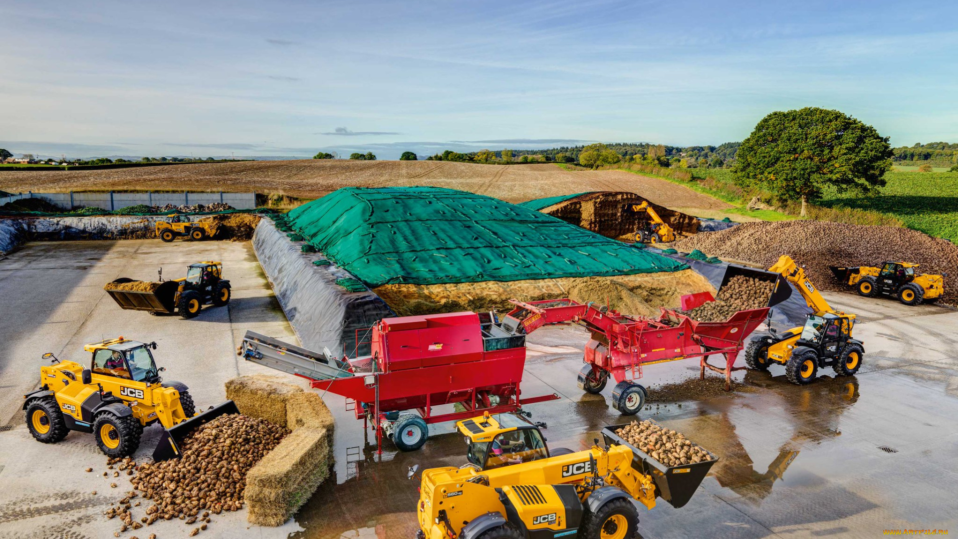 техника, другое, jcb