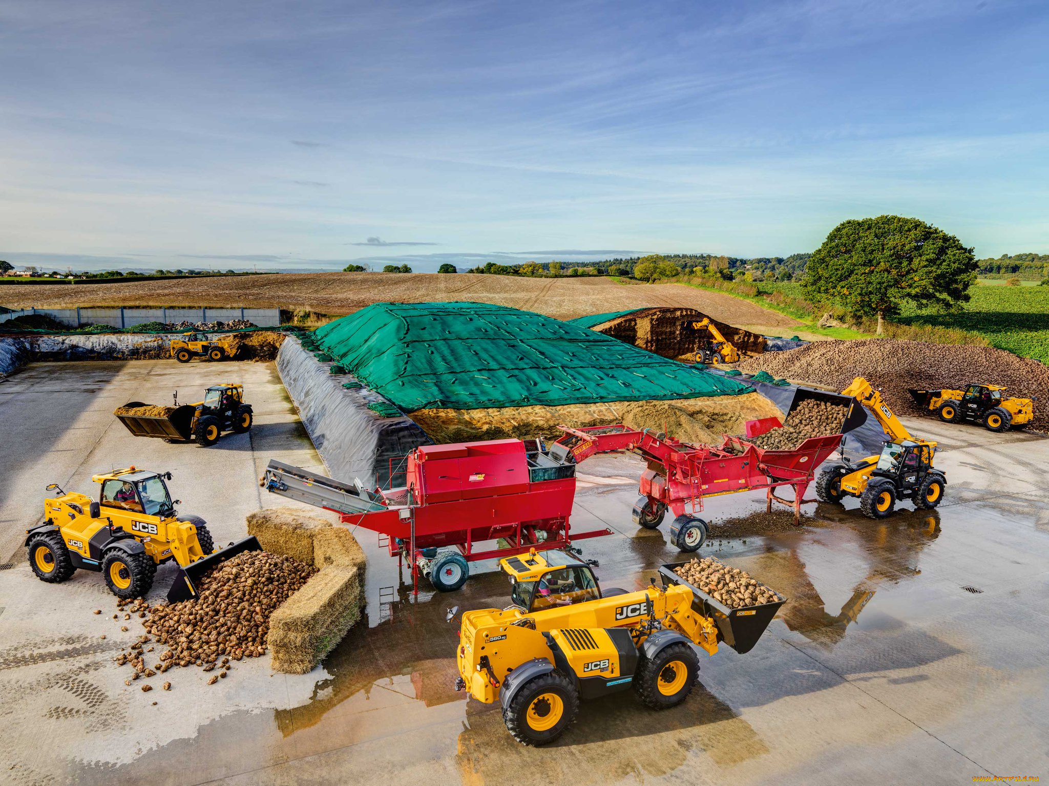 техника, другое, jcb