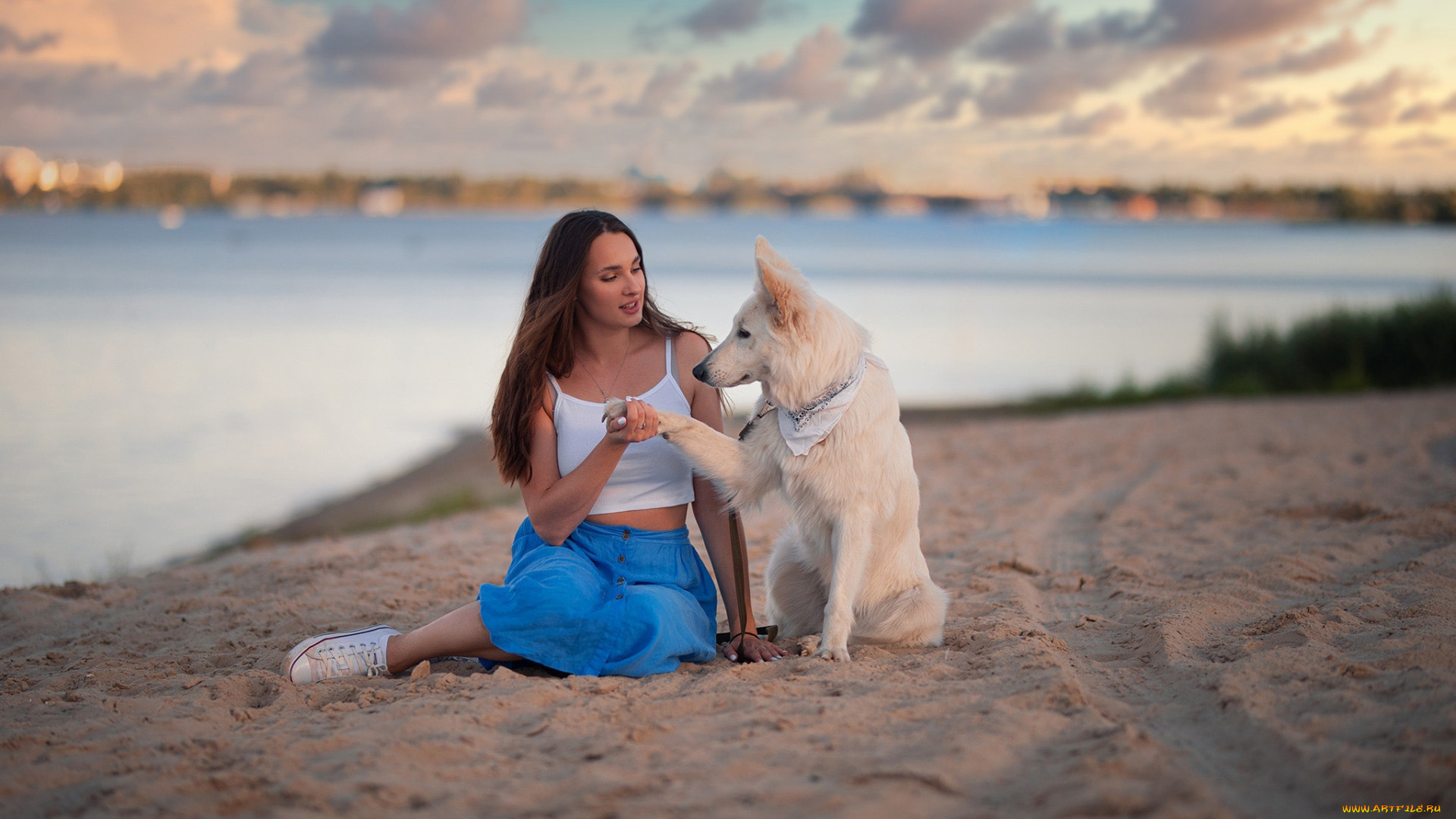 девушки, -, брюнетки, , шатенки, шатенка, собака