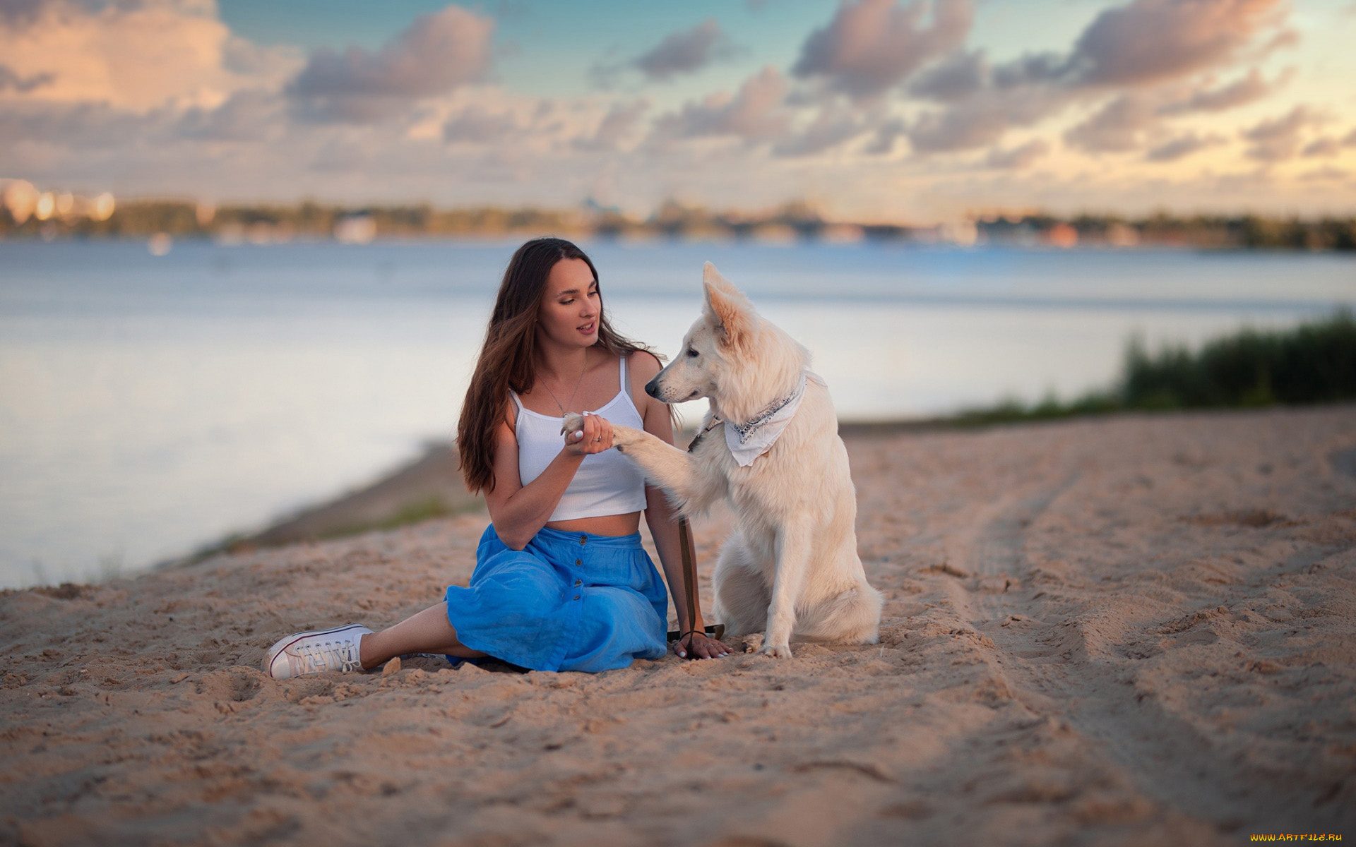 девушки, -, брюнетки, , шатенки, шатенка, собака