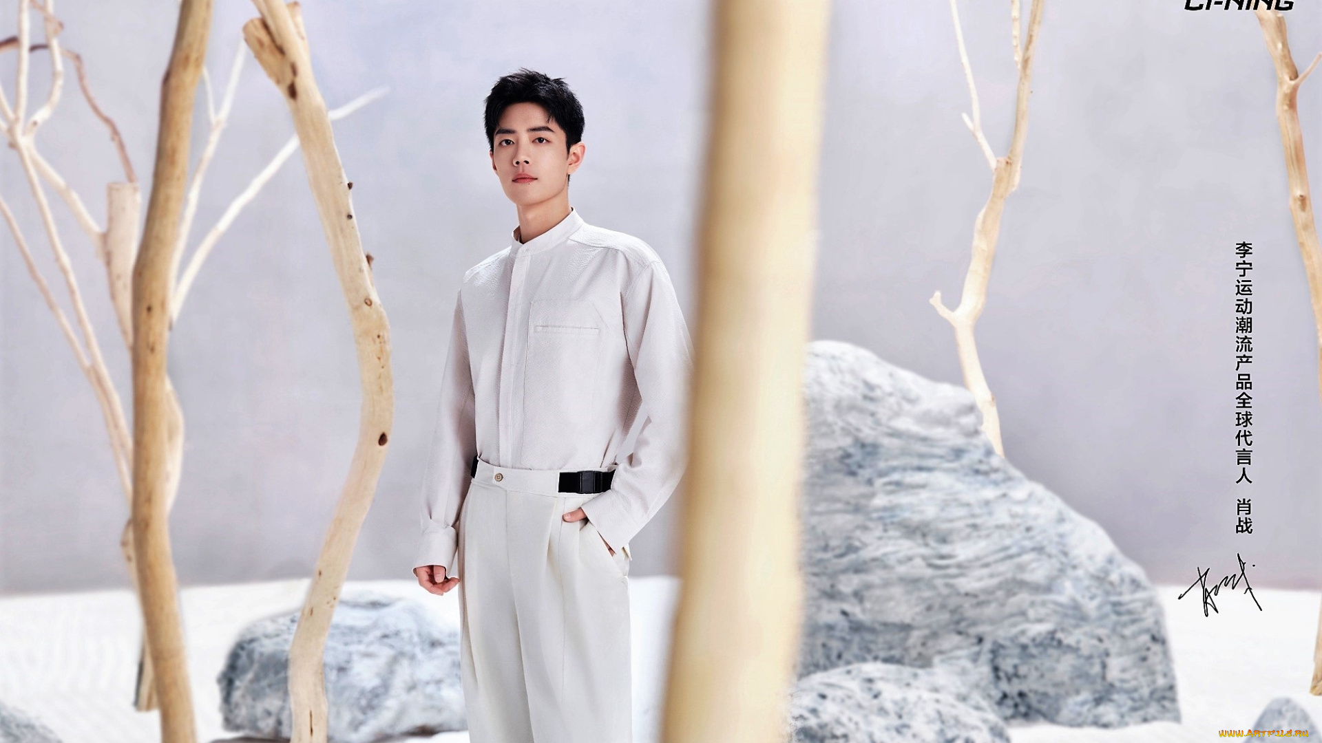 мужчины, xiao, zhan, актер, рубашка, брюки, камни, сучья