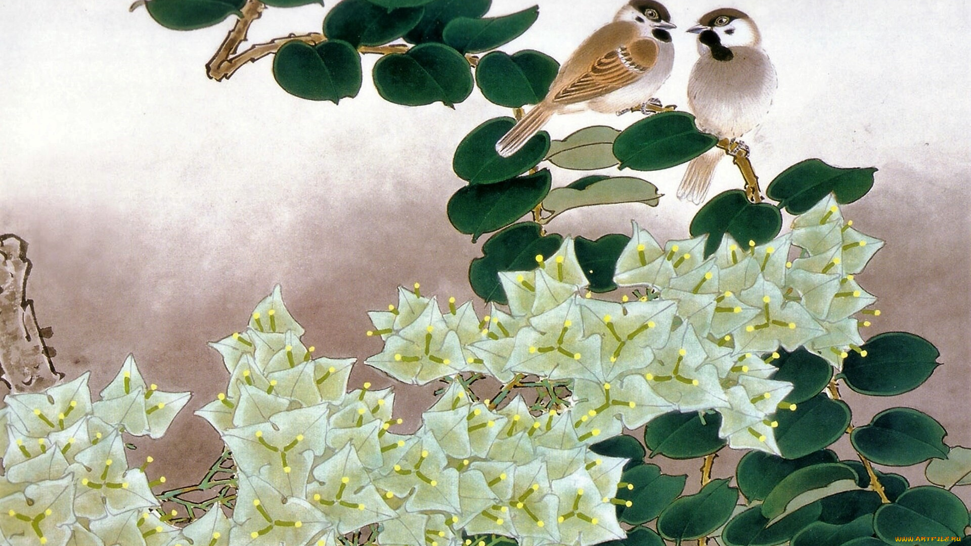 рисованное, животные, , птицы, воробьи, ветка, цветение
