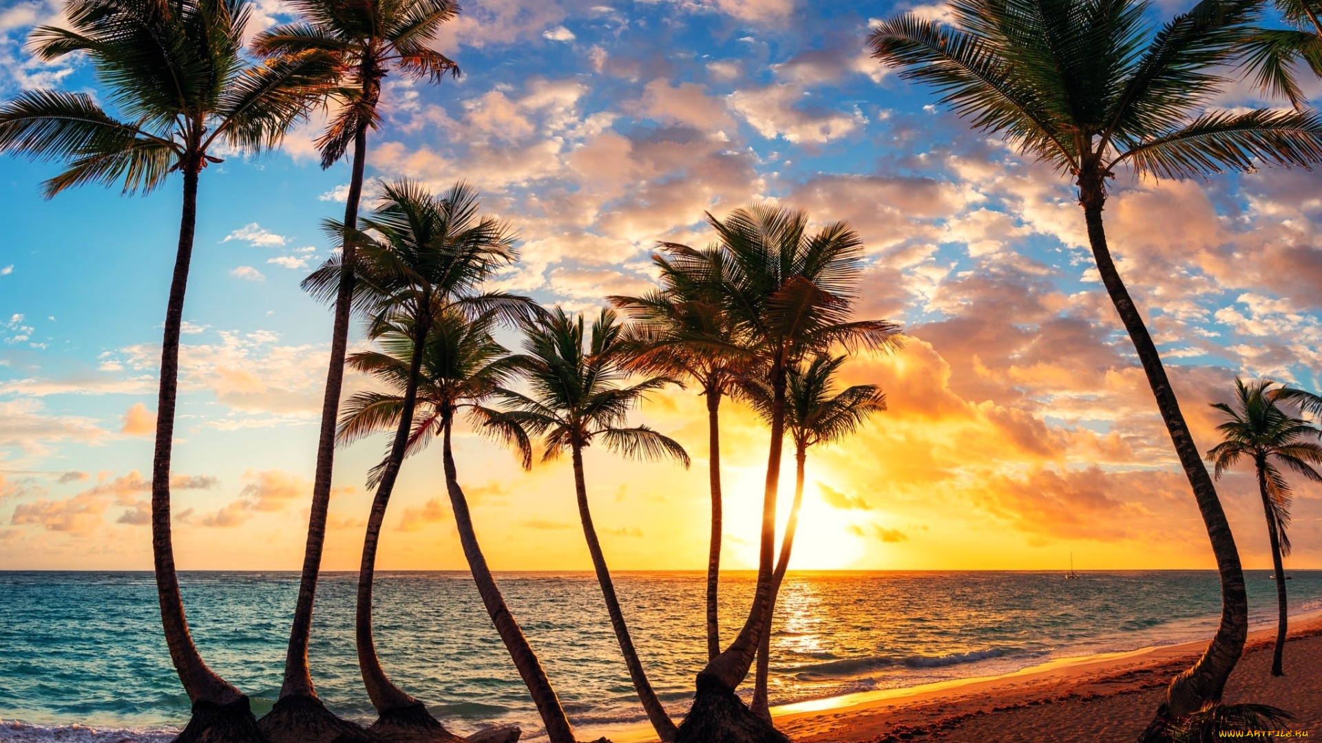 природа, тропики, пальмы, море, закат
