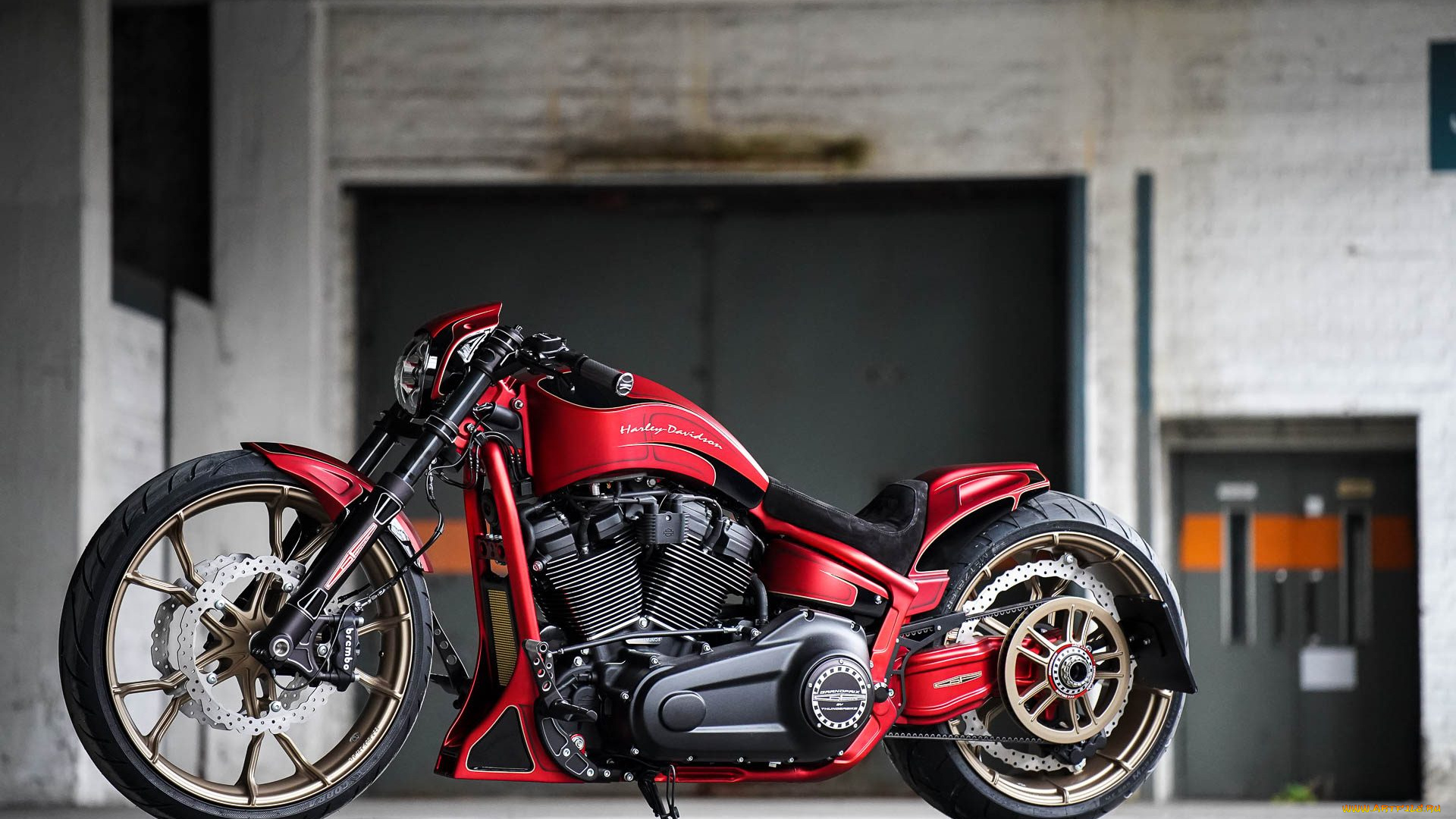 харлей, мотоциклы, harley-davidson, мотоцикл, байк