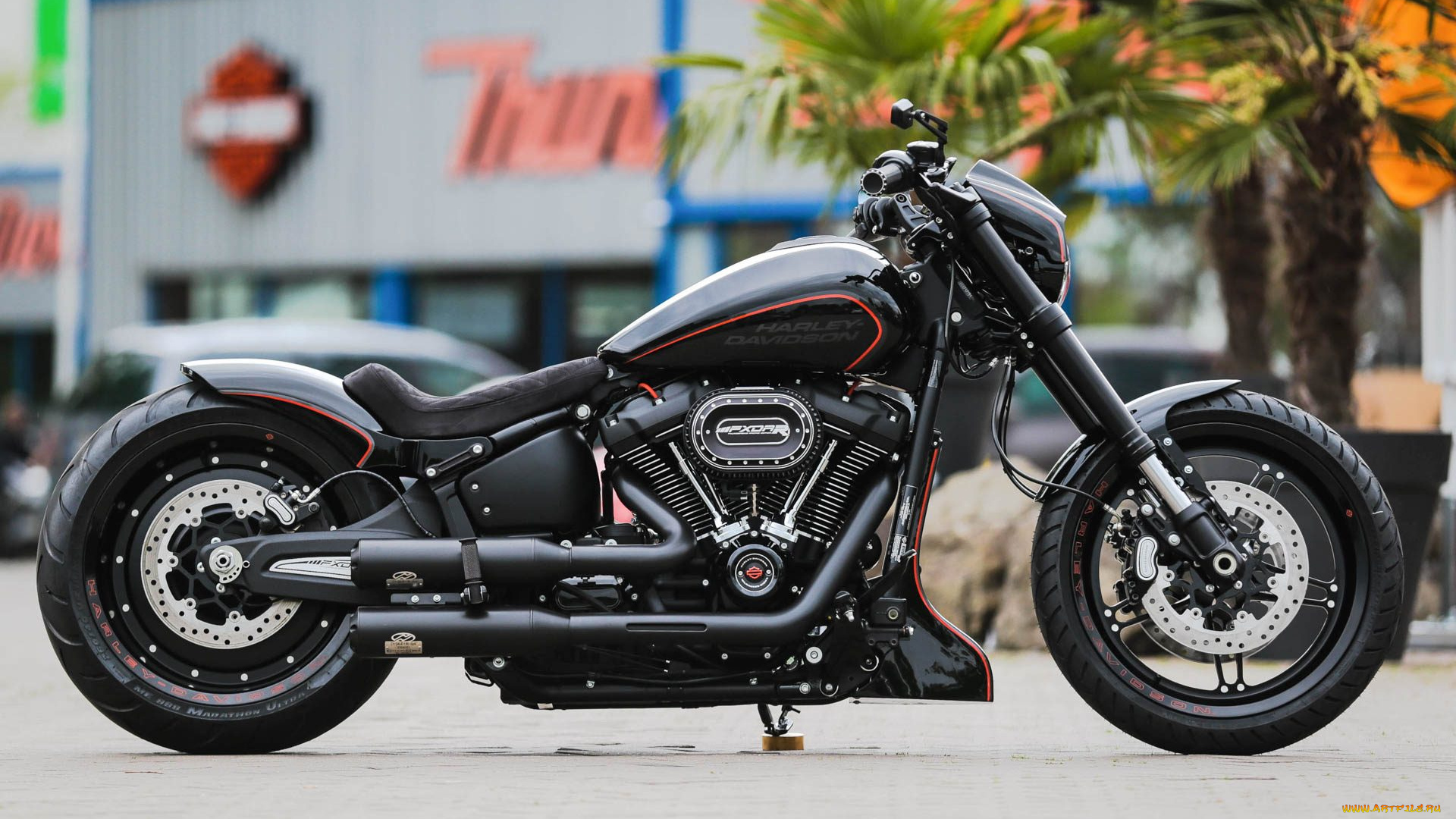 харлей, мотоциклы, harley-davidson, мотоцикл, байк