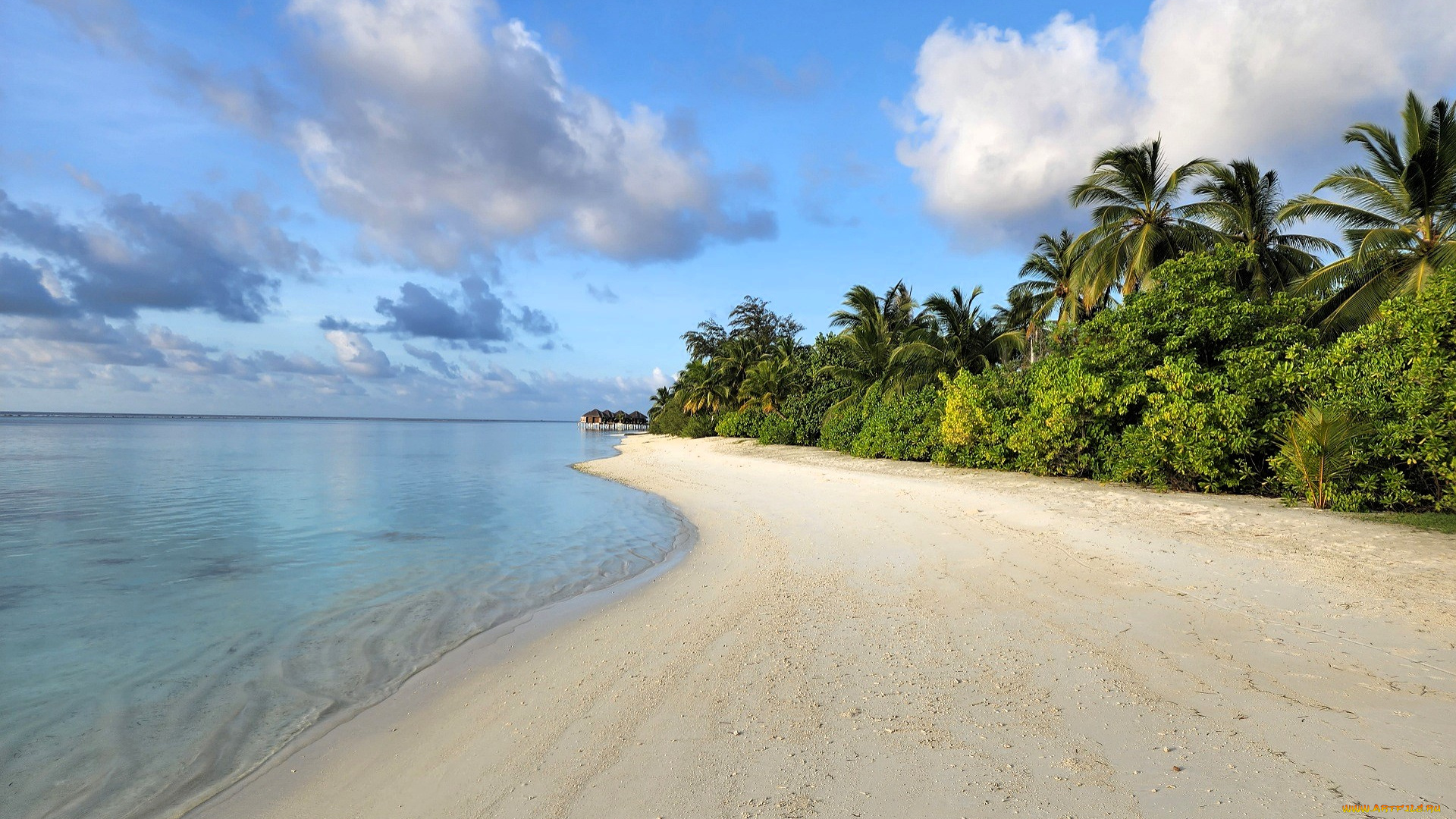 природа, тропики, море, берег, пляж, деревья, домики, небо, облака