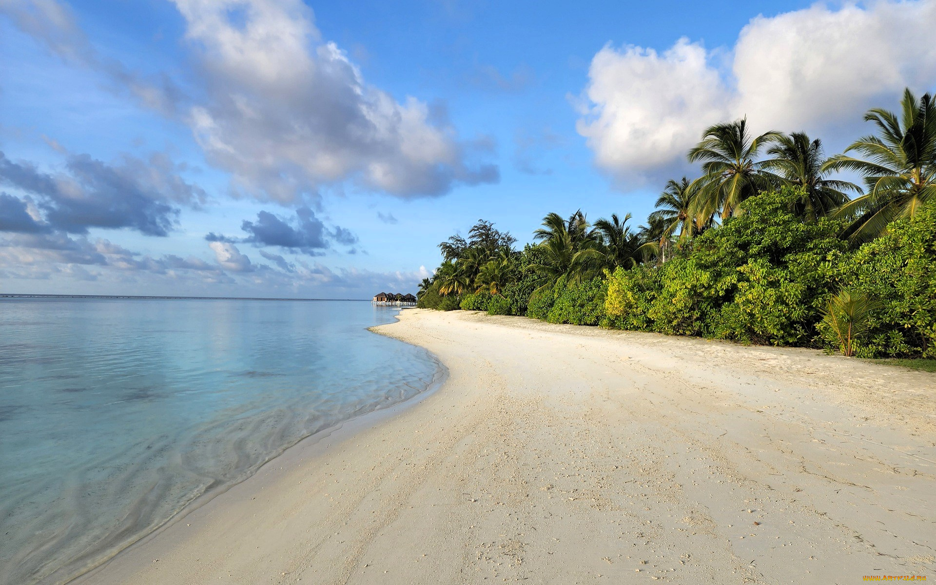 природа, тропики, море, берег, пляж, деревья, домики, небо, облака