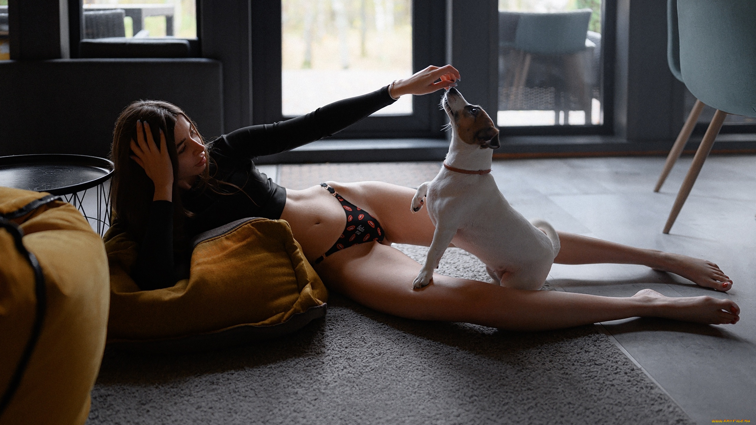 девушка, секси, девушки, -, брюнетки, , шатенки, позирует, фигурка, ножки, грудь, секси, трусики, на, полу, играет, с, собакой
