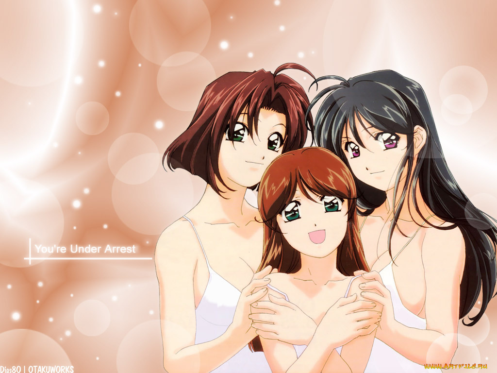 аниме, you`re, under, arrest