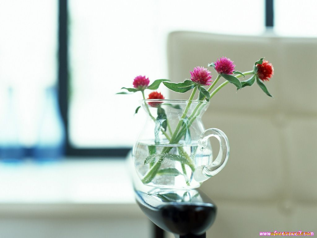 цветы, луговые, полевые