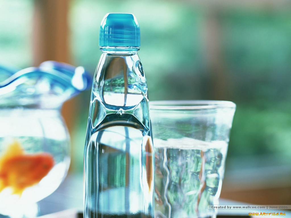 еда, напитки