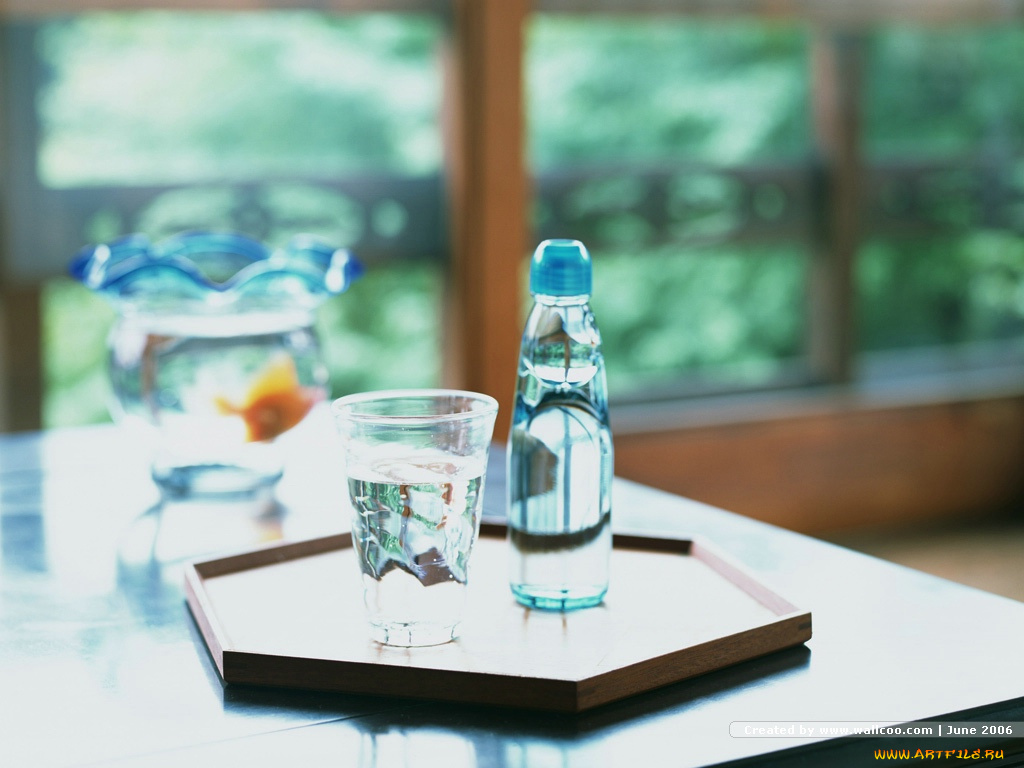 еда, напитки