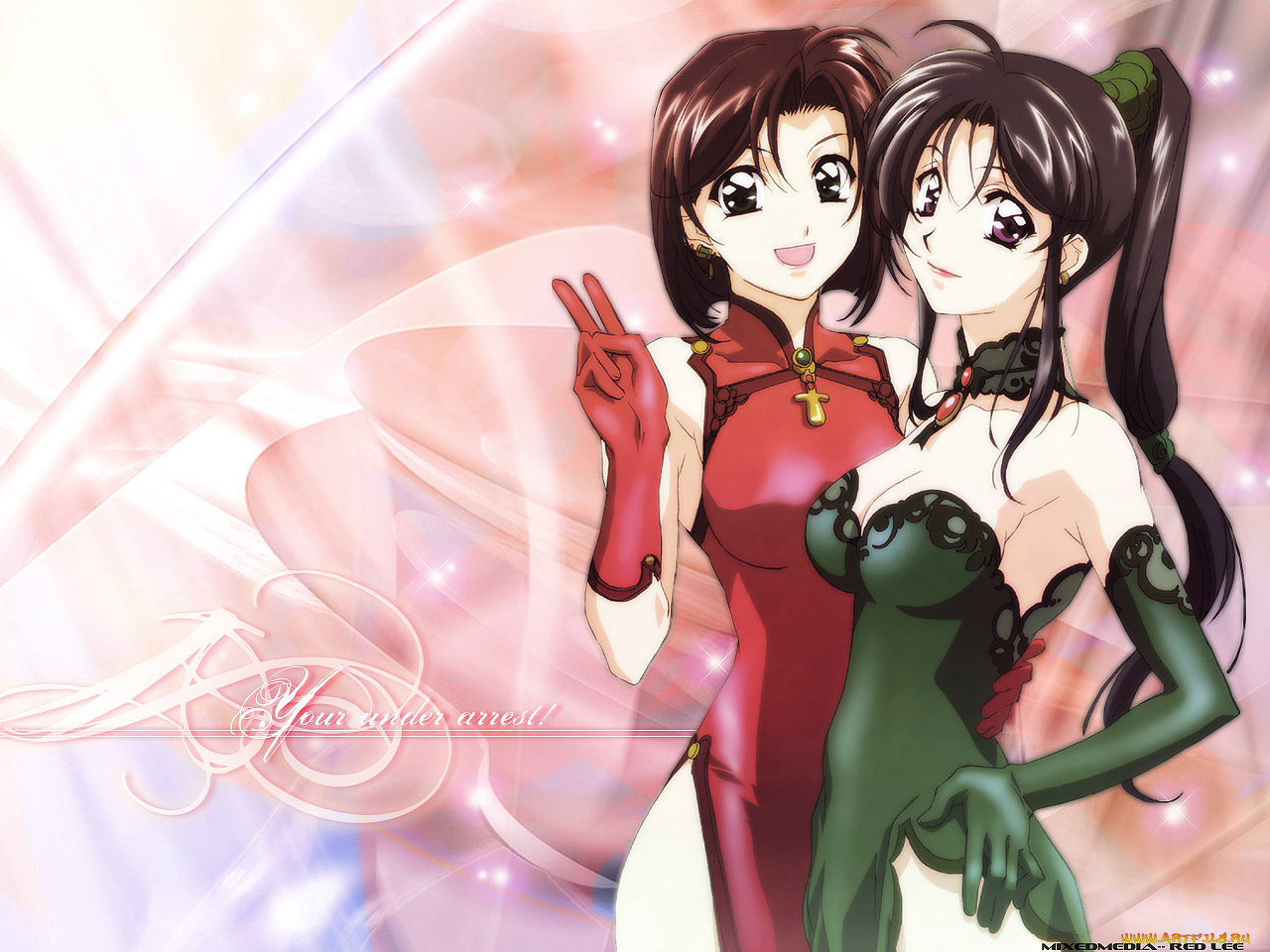 аниме, you`re, under, arrest