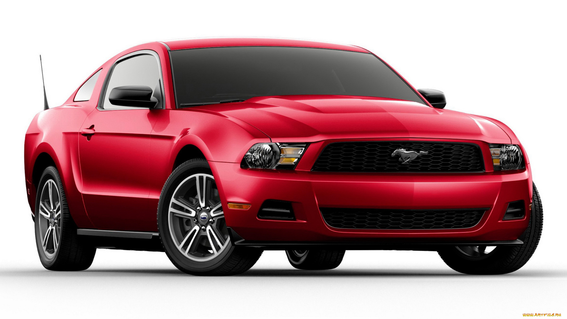 автомобили, mustang