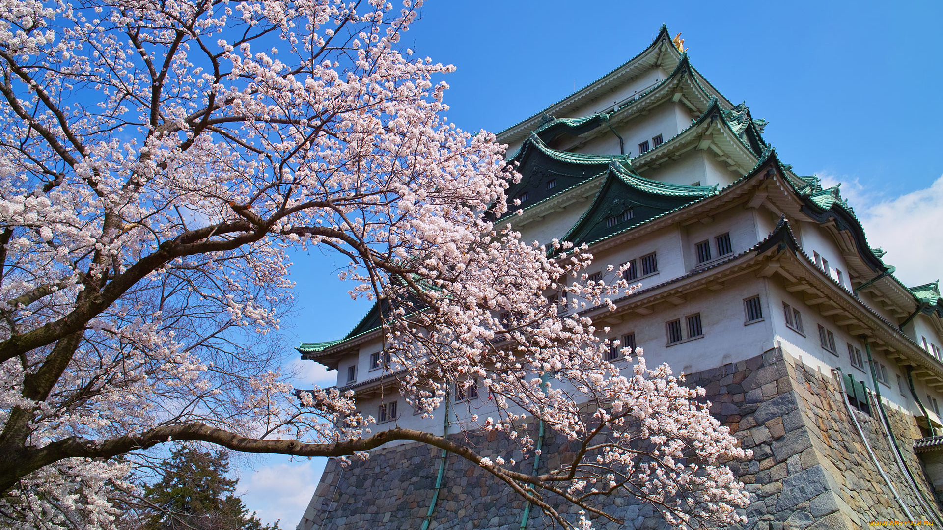 nagoya, city, города, замки, Японии