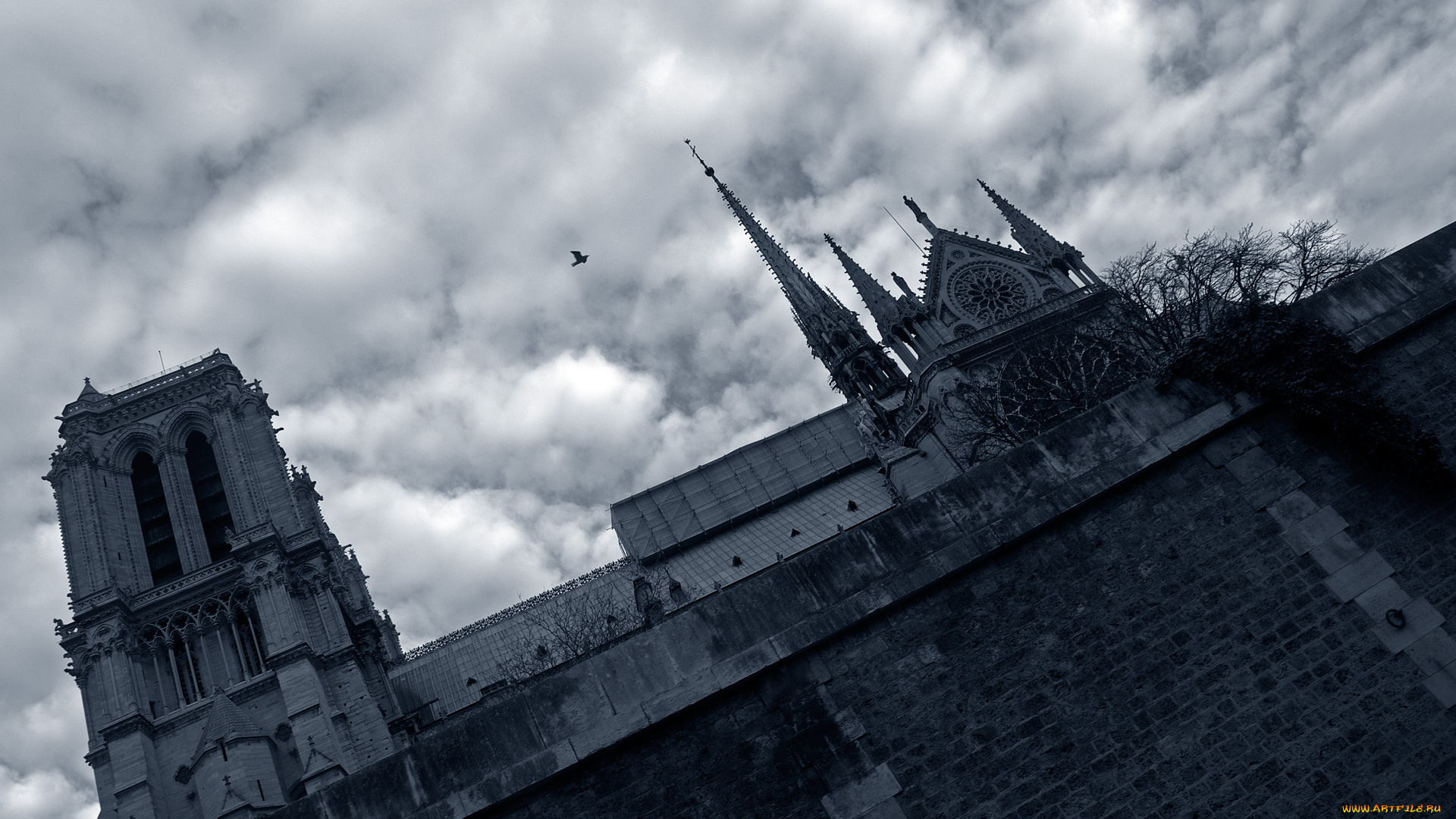 notre, dame, cathedral, paris, города, париж, франция