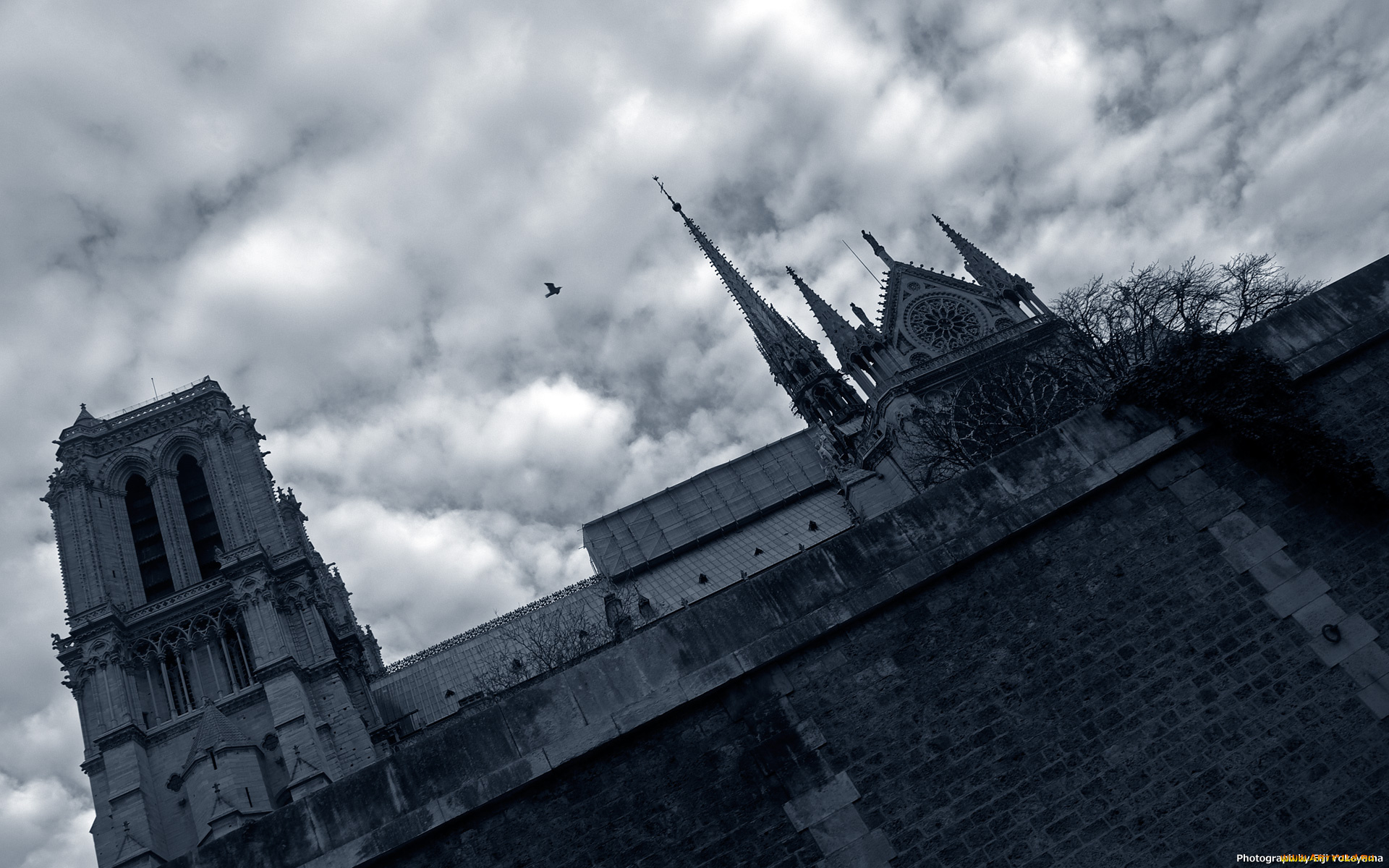 notre, dame, cathedral, paris, города, париж, франция