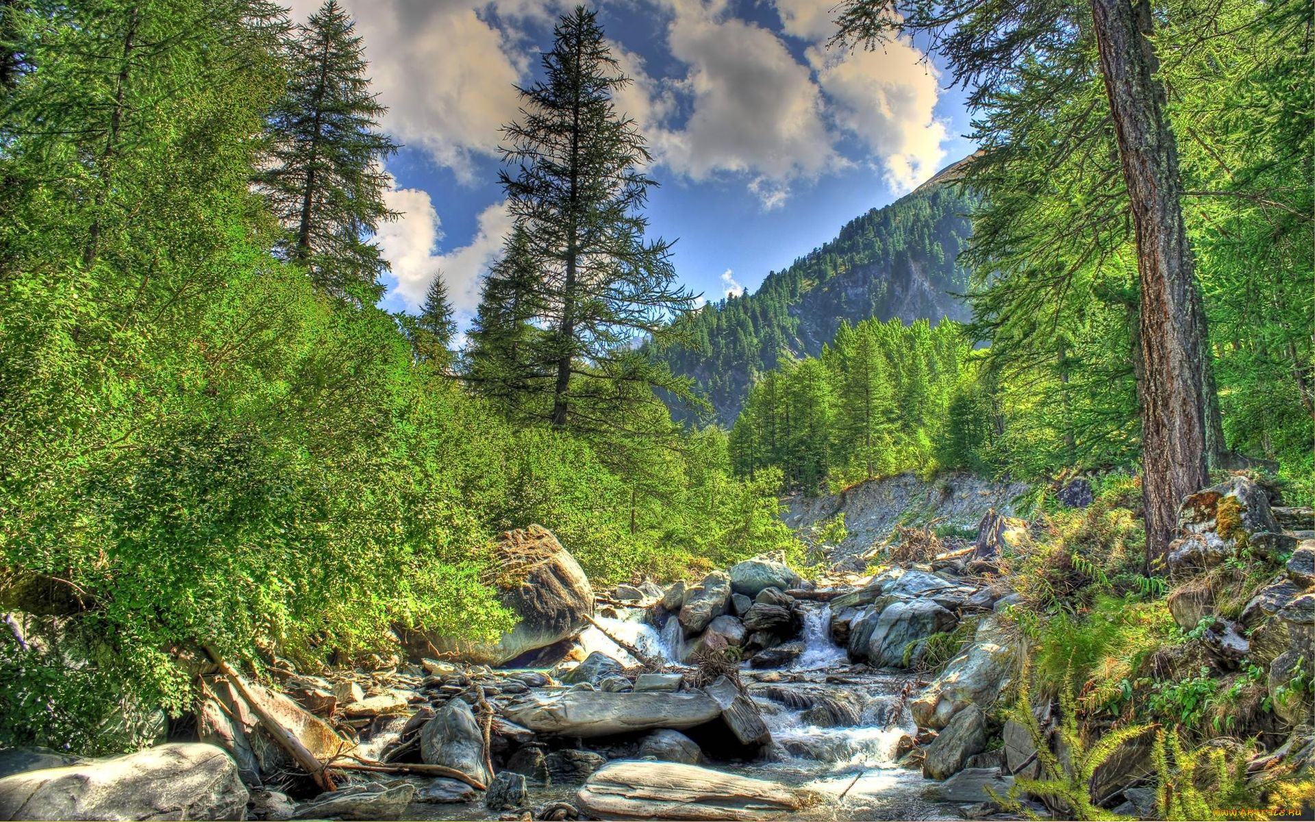 природа, реки, озера