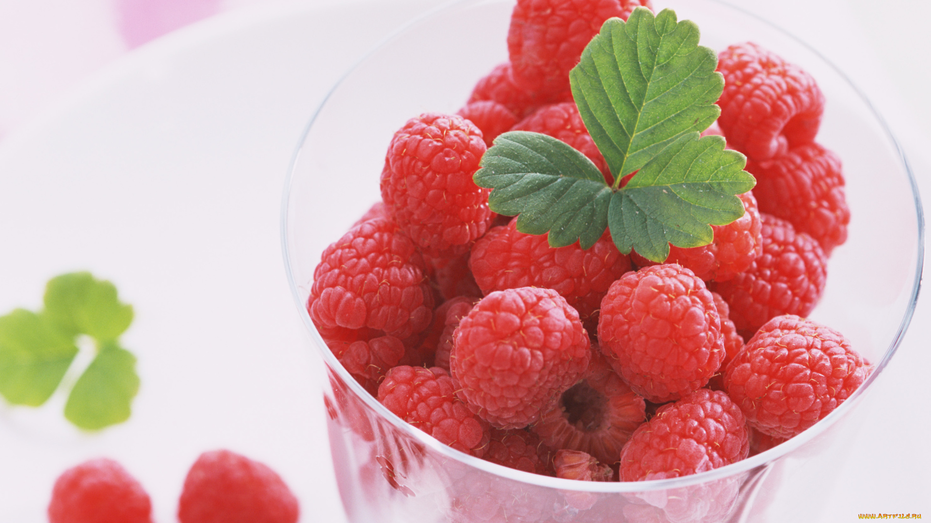 еда, малина