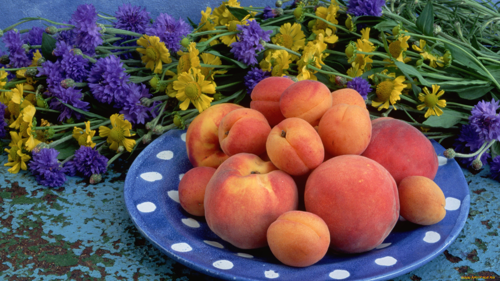 еда, персики, сливы, абрикосы, тарелка, с, персиками, абрикосами