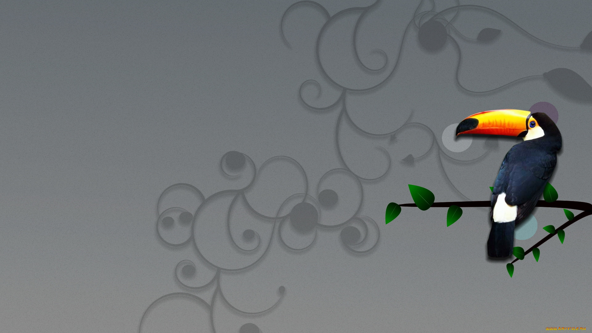 векторная, графика