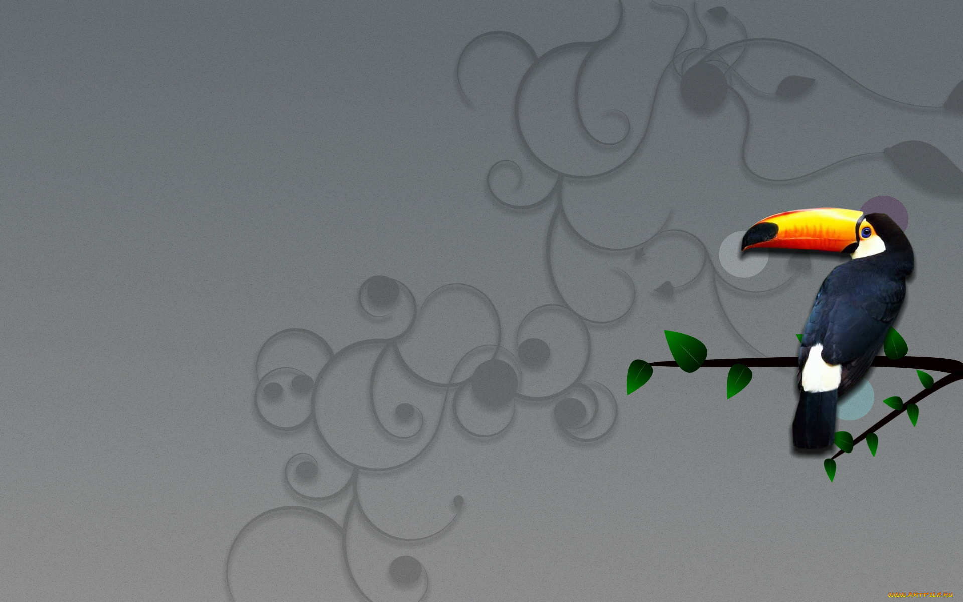 векторная, графика