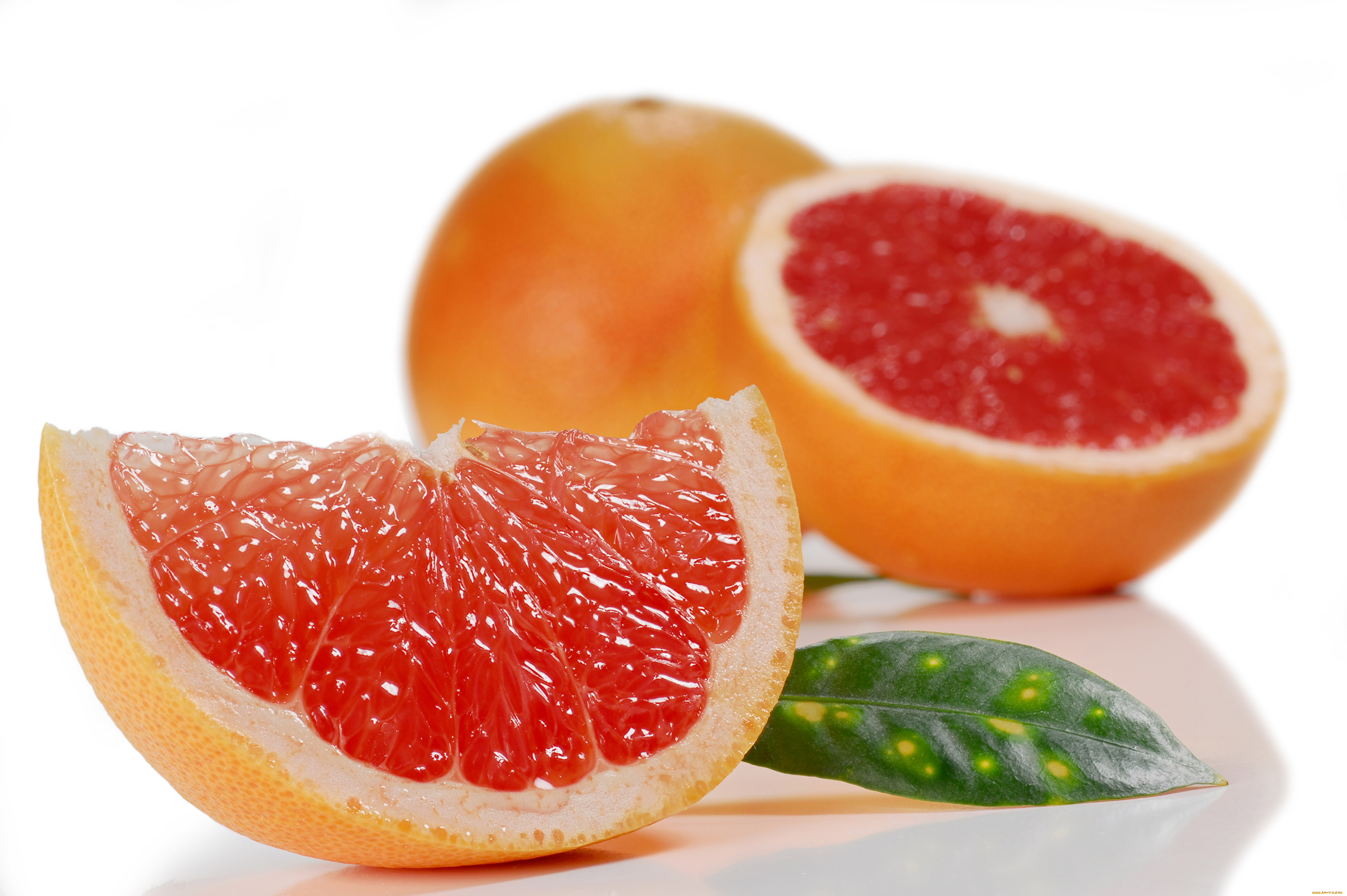 еда, цитрусы