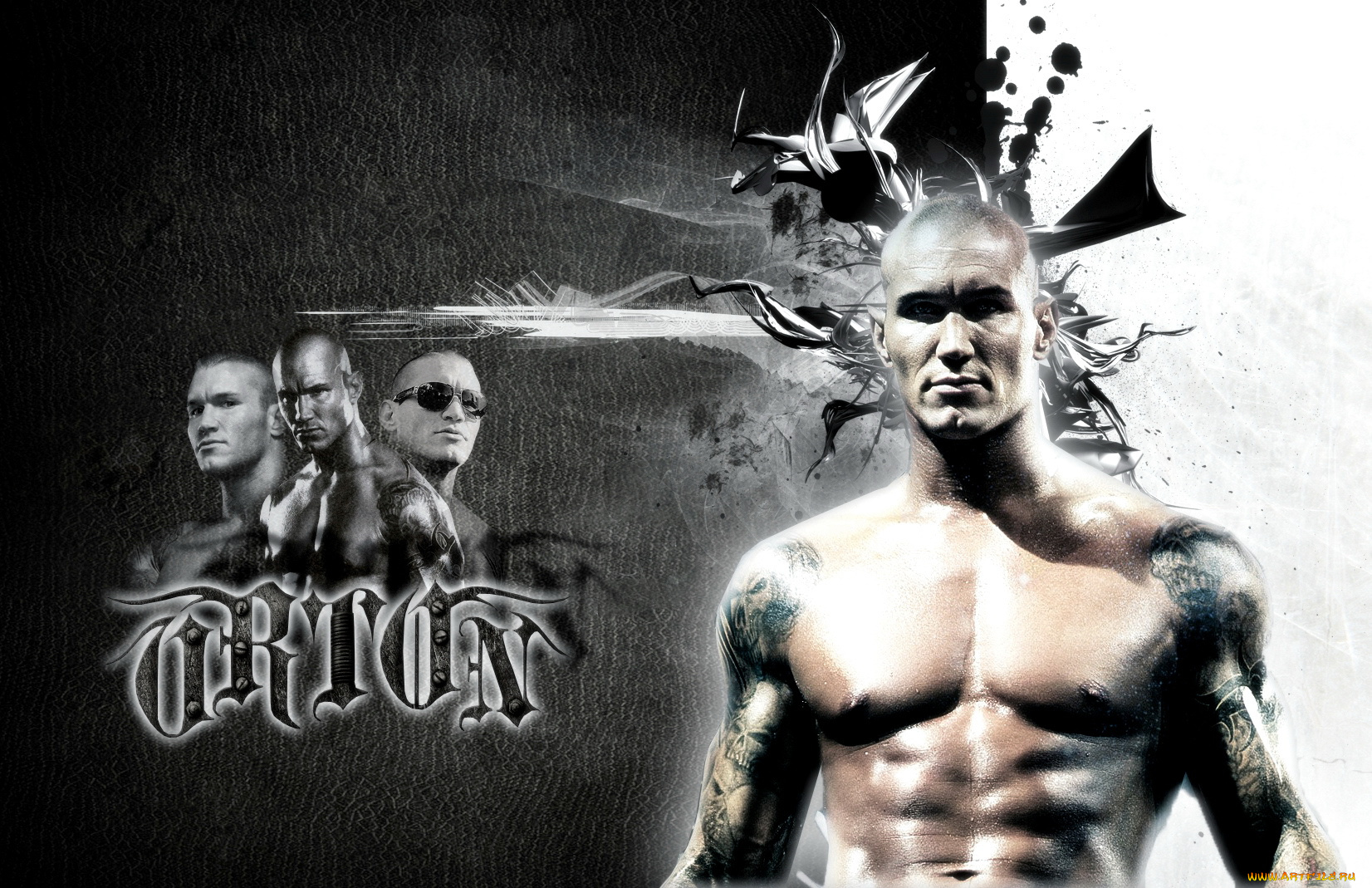 спорт, wwe, randy, orton