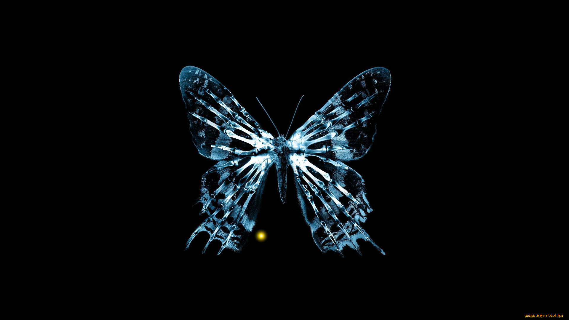 3д, графика, animals, животные, бабочка