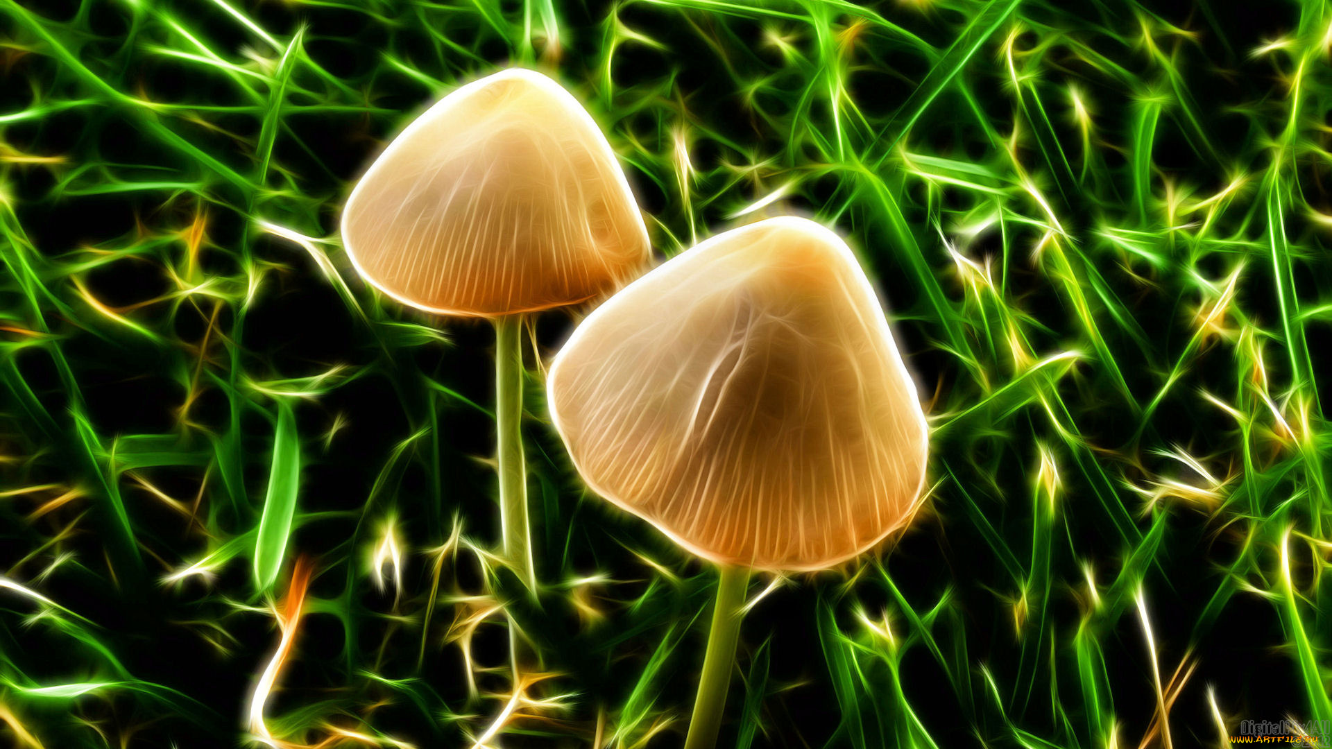 3д, графика, nature, landscape, природа, трава, грибы