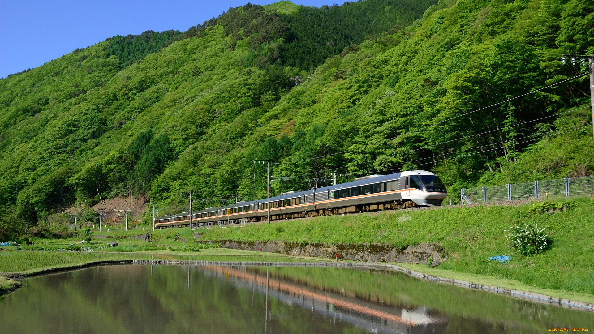 техника, поезда, вода, лес, поезд