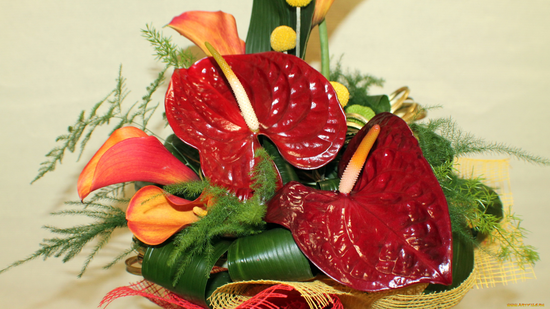 цветы, букеты, композиции, букет, антуриум