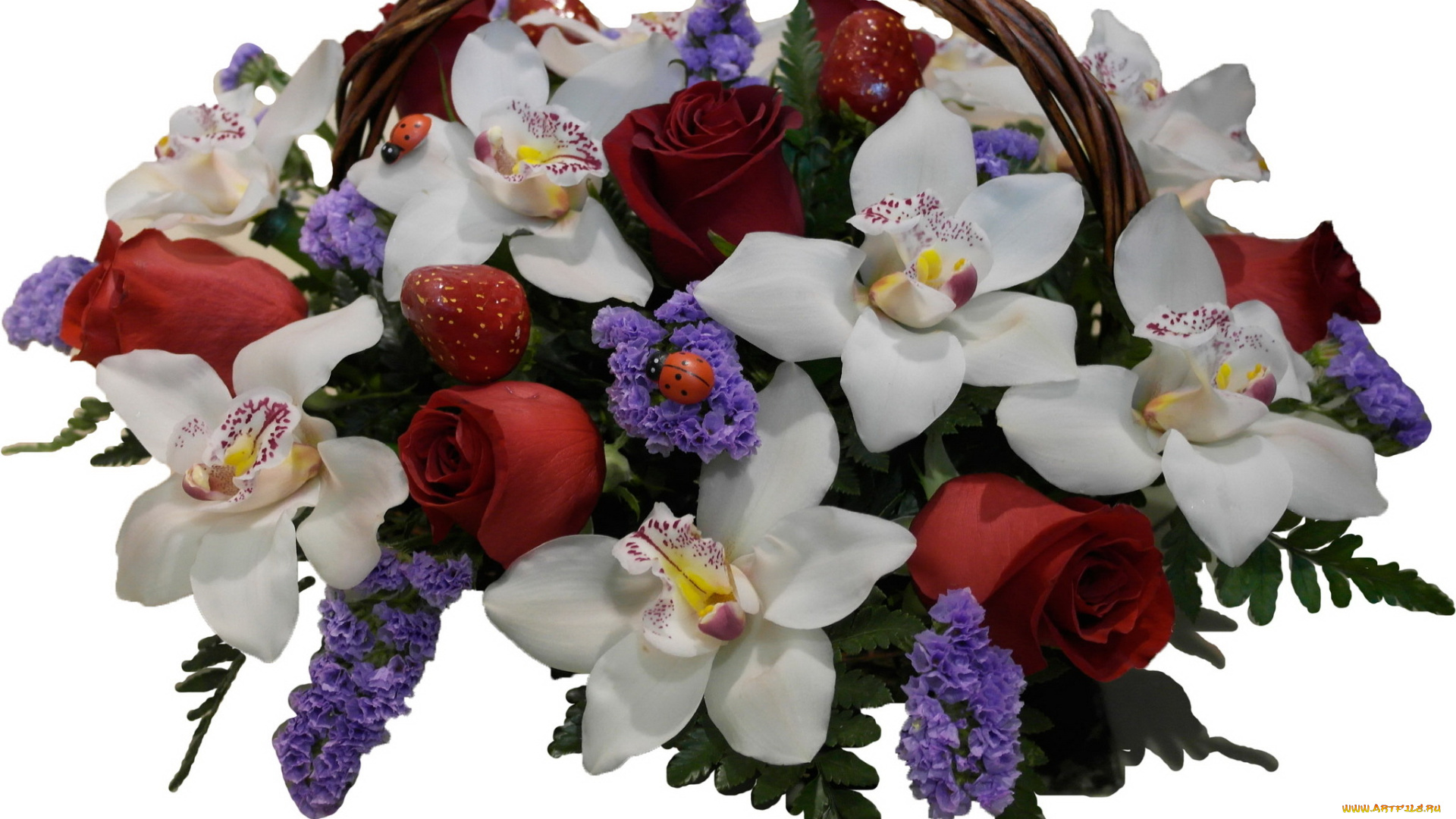 цветы, букеты, композиции, букет, орххидеи, розы