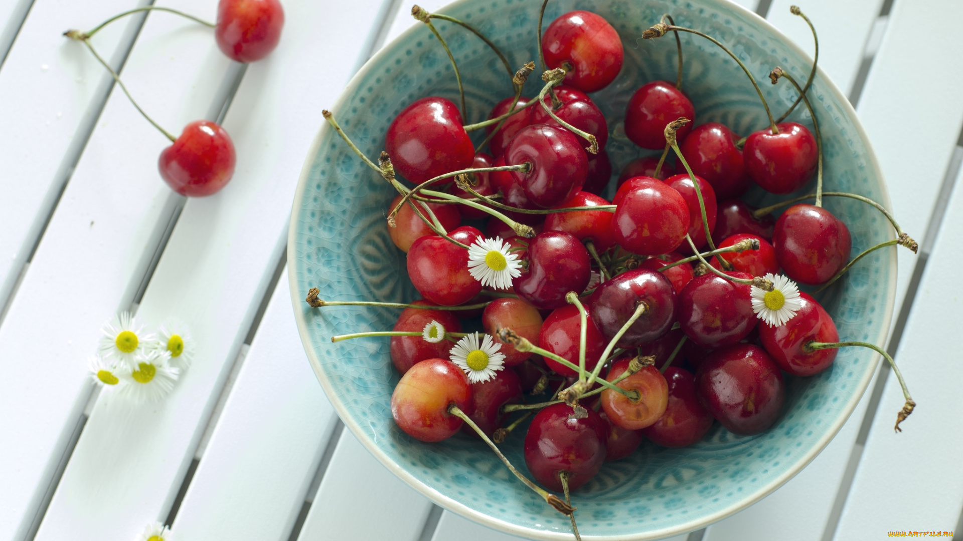 еда, вишня, черешня, ромашки