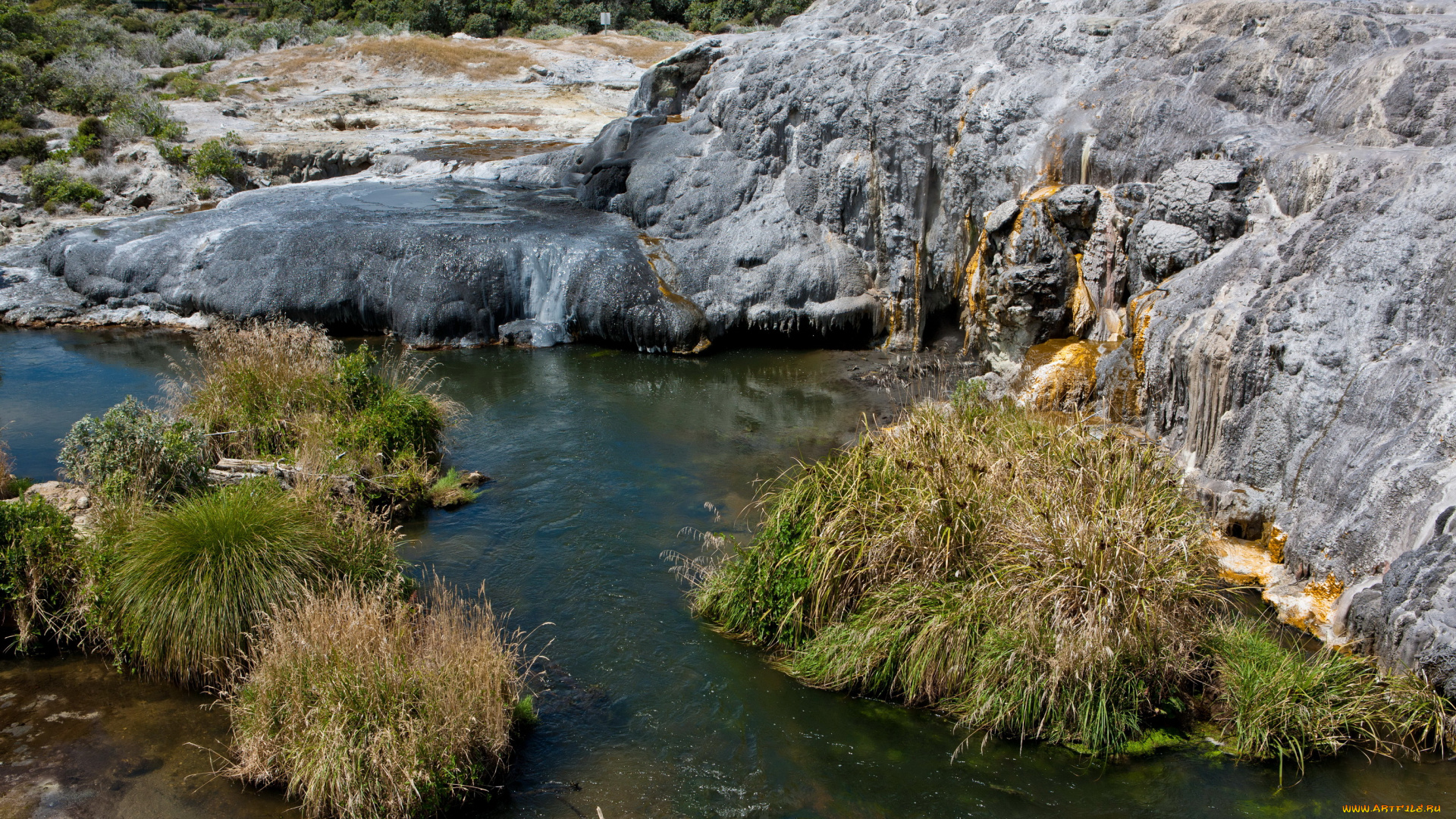 новая, зеландия, долина, гейзеров, природа, другое, гейзер