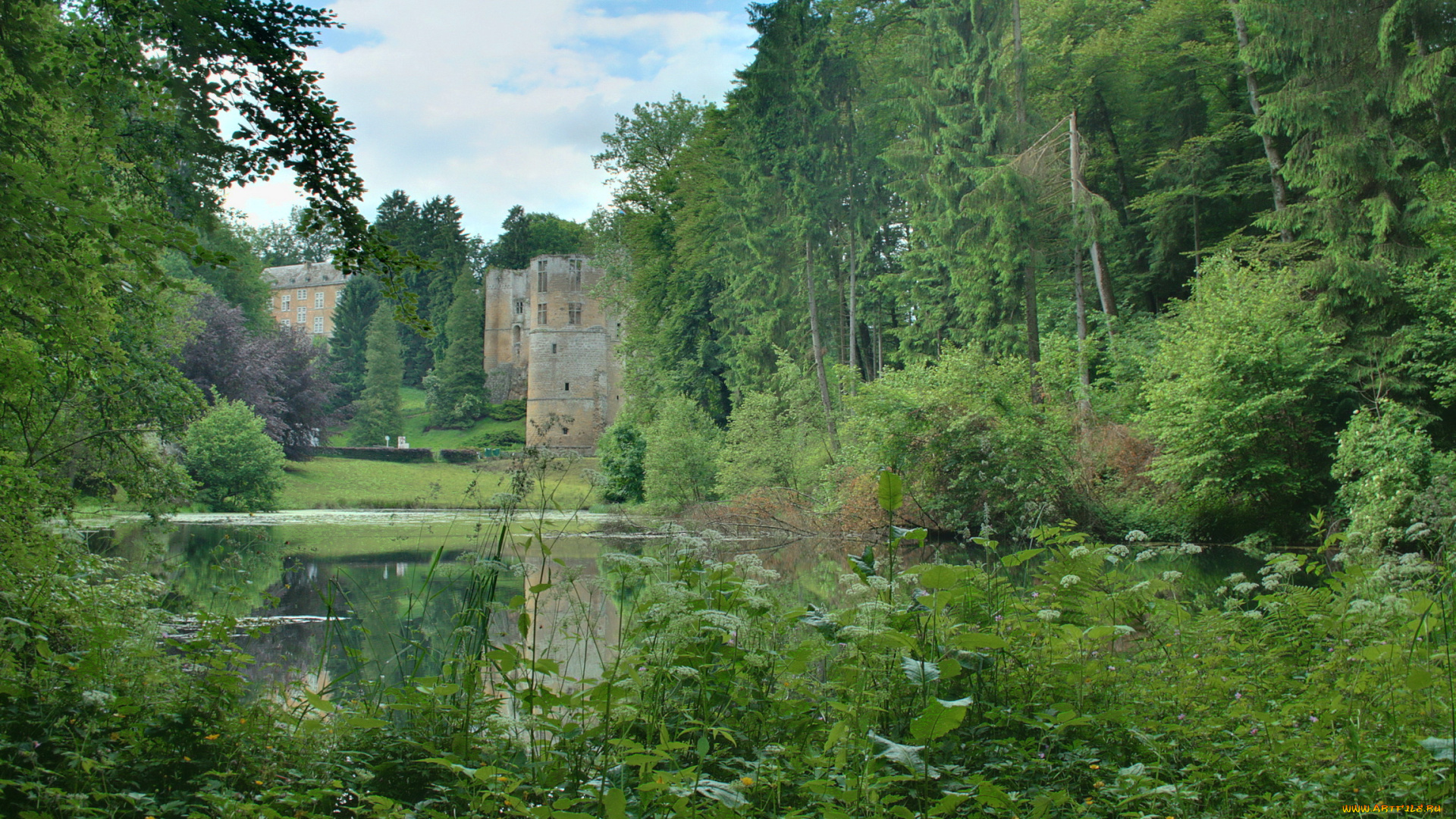 park, beaufort, castle, luxembourg, природа, парк, водоем, растения