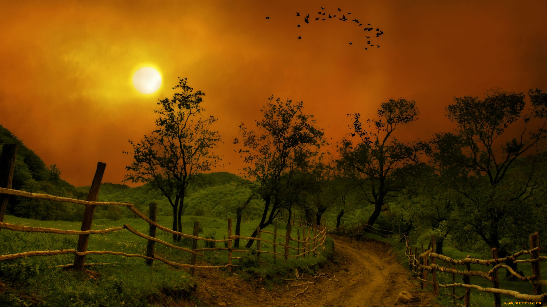 природа, дороги, вечер, холмы, трава, дорога, изгородь, солнце, деревья