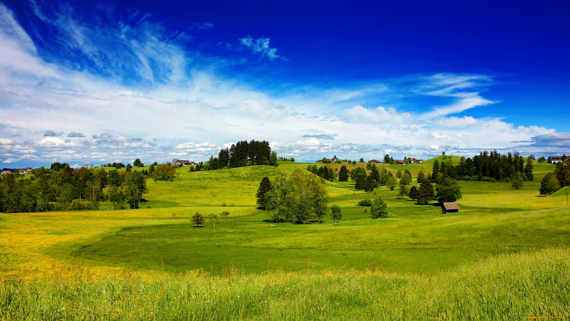 природа, луга, поле, небо, деревья, холмы