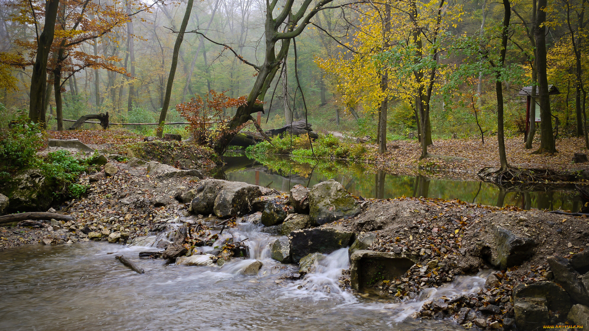 природа, реки, озера, осень, туман, камни, поток, река, лес