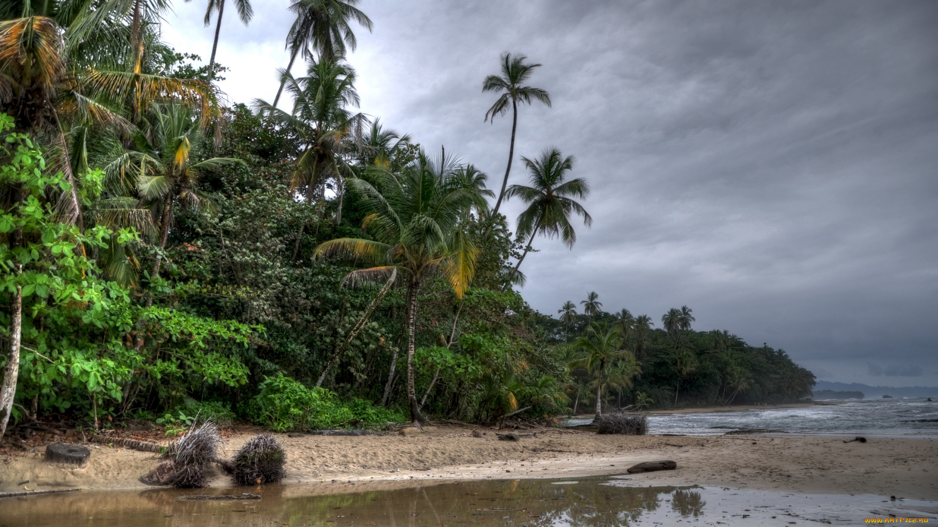 природа, тропики, пляж, тучи, пальмы, деревья